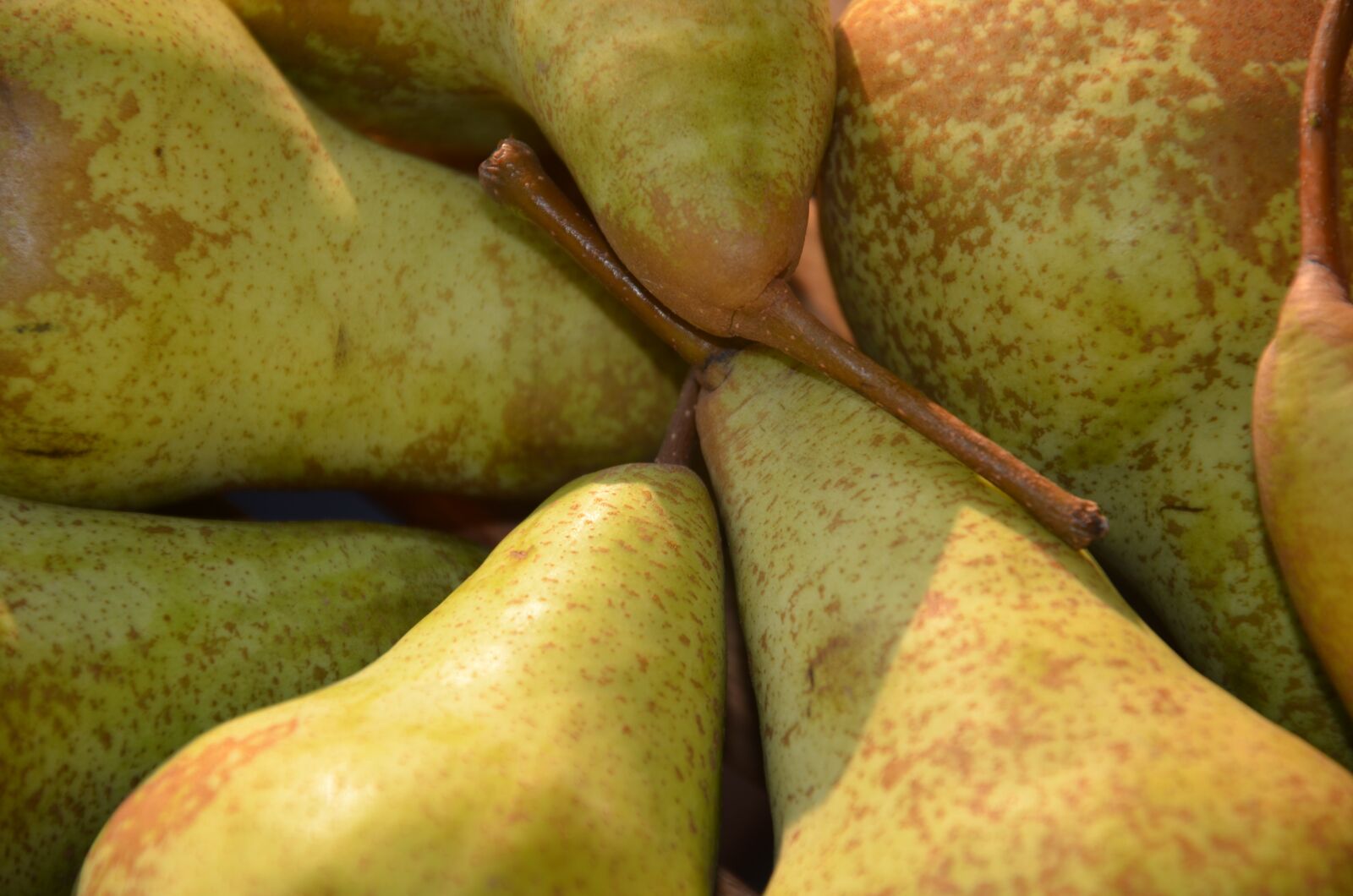 Nikon D7000 sample photo. Fruit, pera, green photography