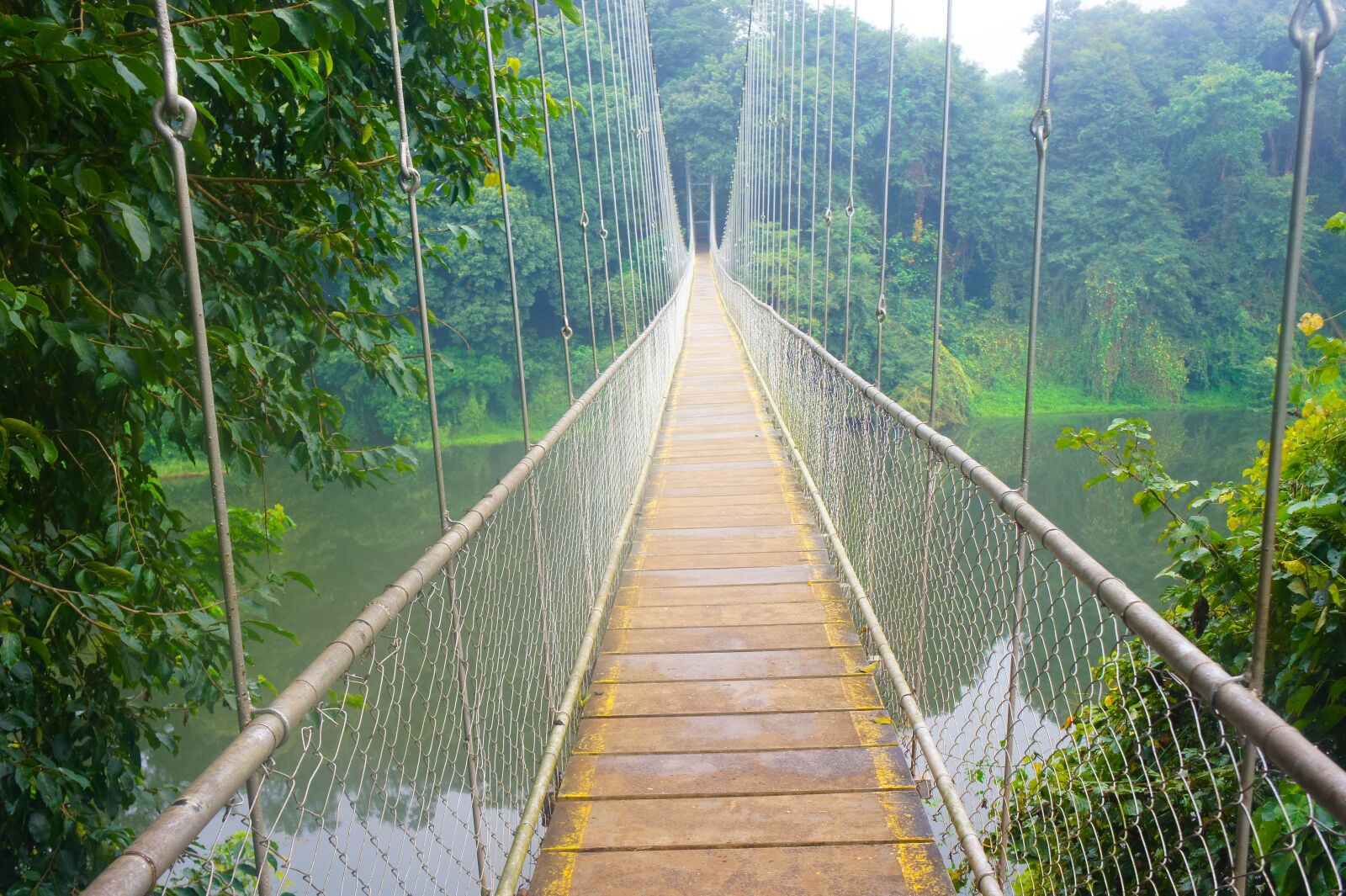 Sony Alpha NEX-3 + Sony E 18-55mm F3.5-5.6 OSS sample photo. Hanging bridge, river bridge photography