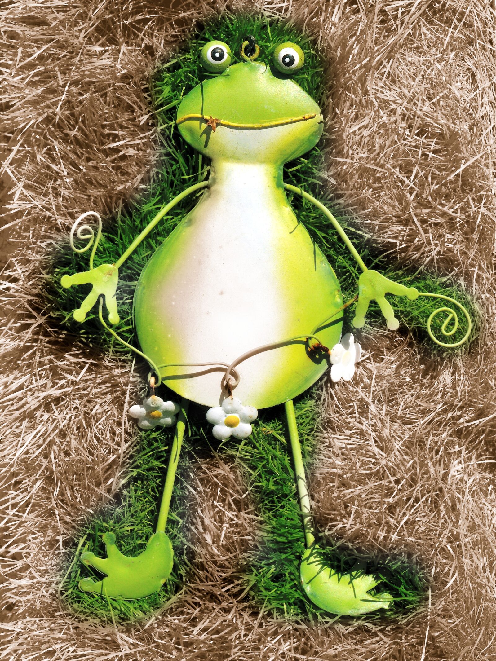 Nikon D300S sample photo. Frog, green, green frog photography