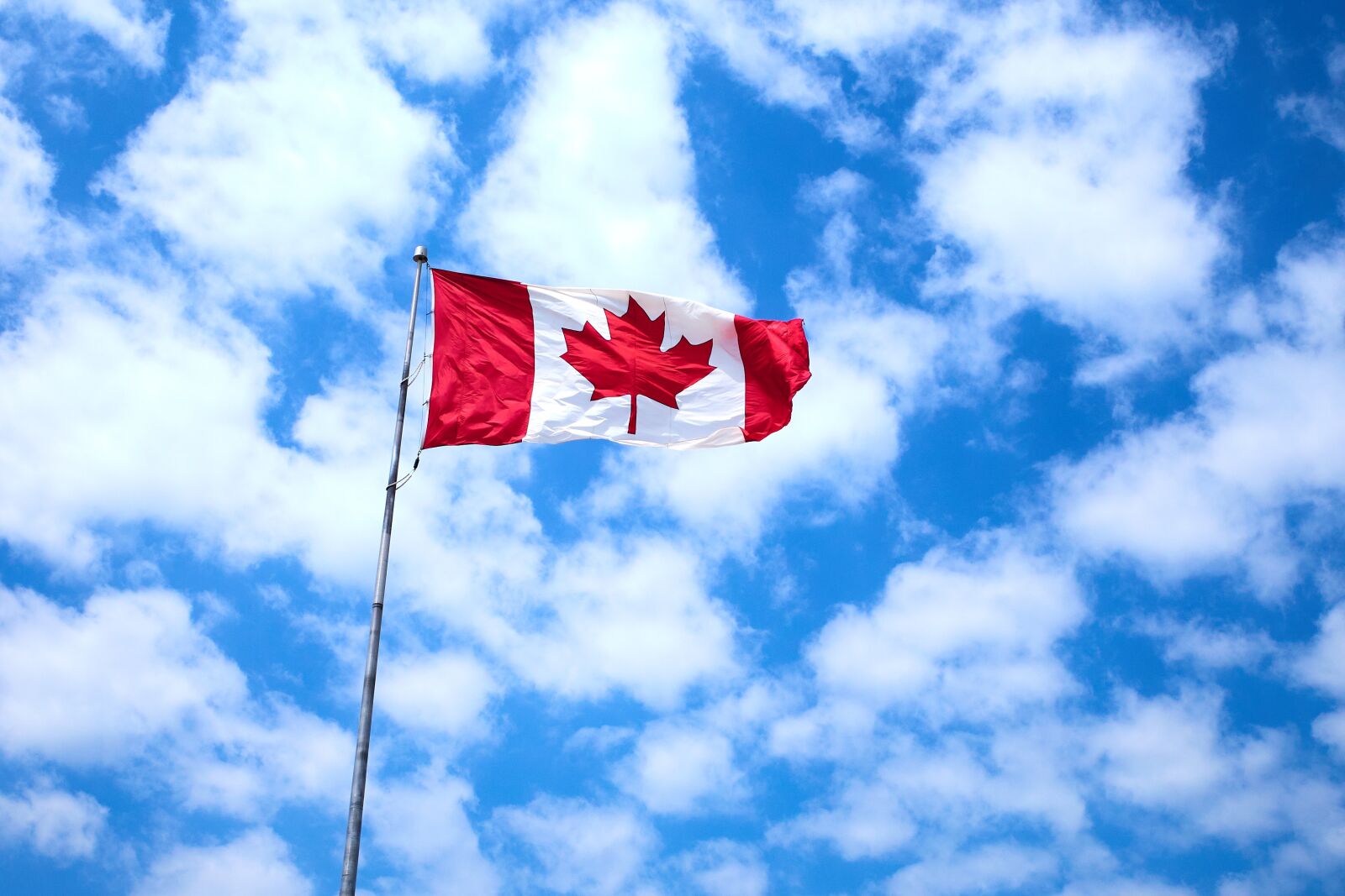 Ricoh GR III sample photo. Canadian flag, maple leaf photography