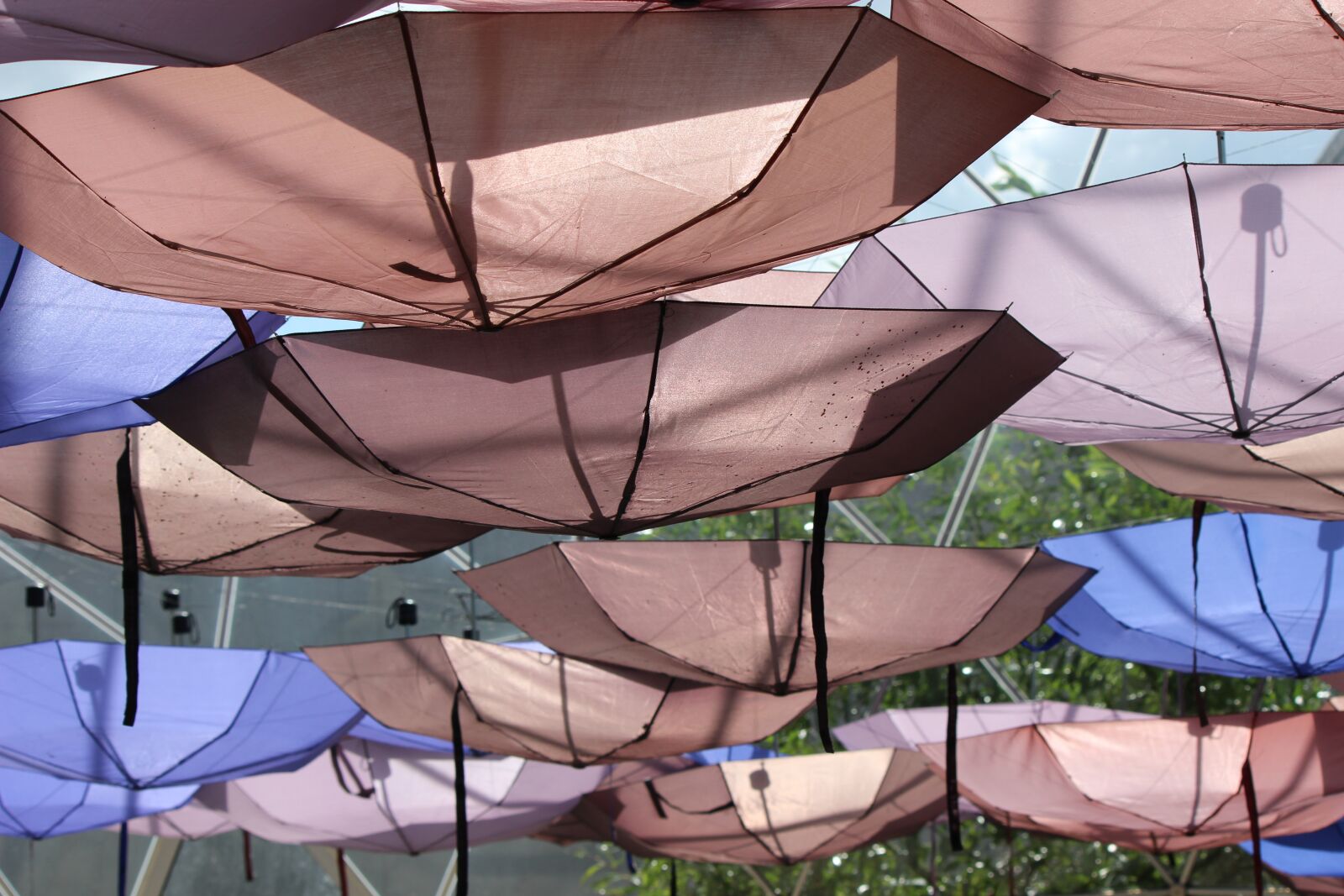 Canon EOS 600D (Rebel EOS T3i / EOS Kiss X5) sample photo. Parasol, umbrella, shadow photography