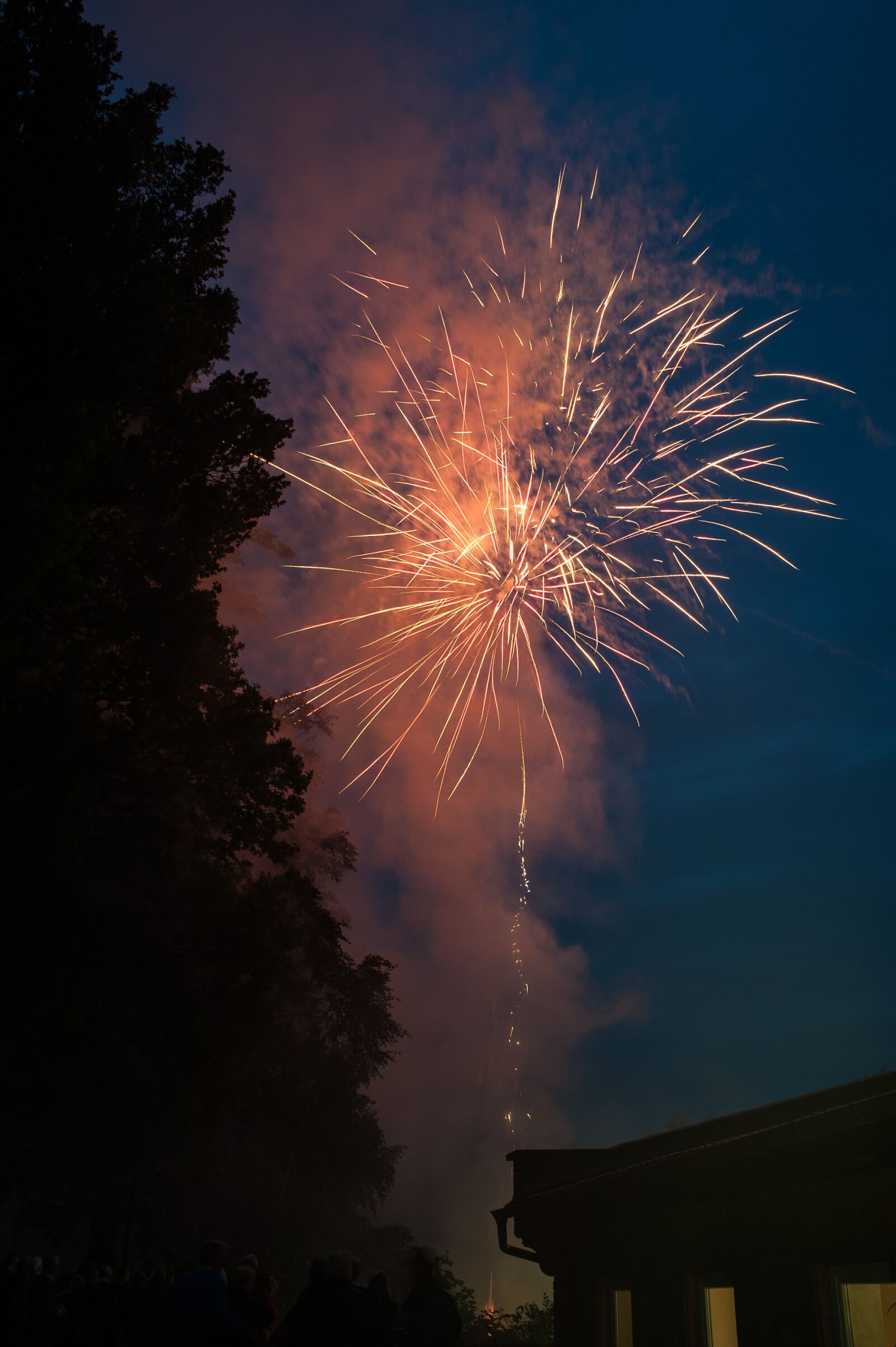 Nikon D700 sample photo. Fireworks, at night, pyrotechnics photography