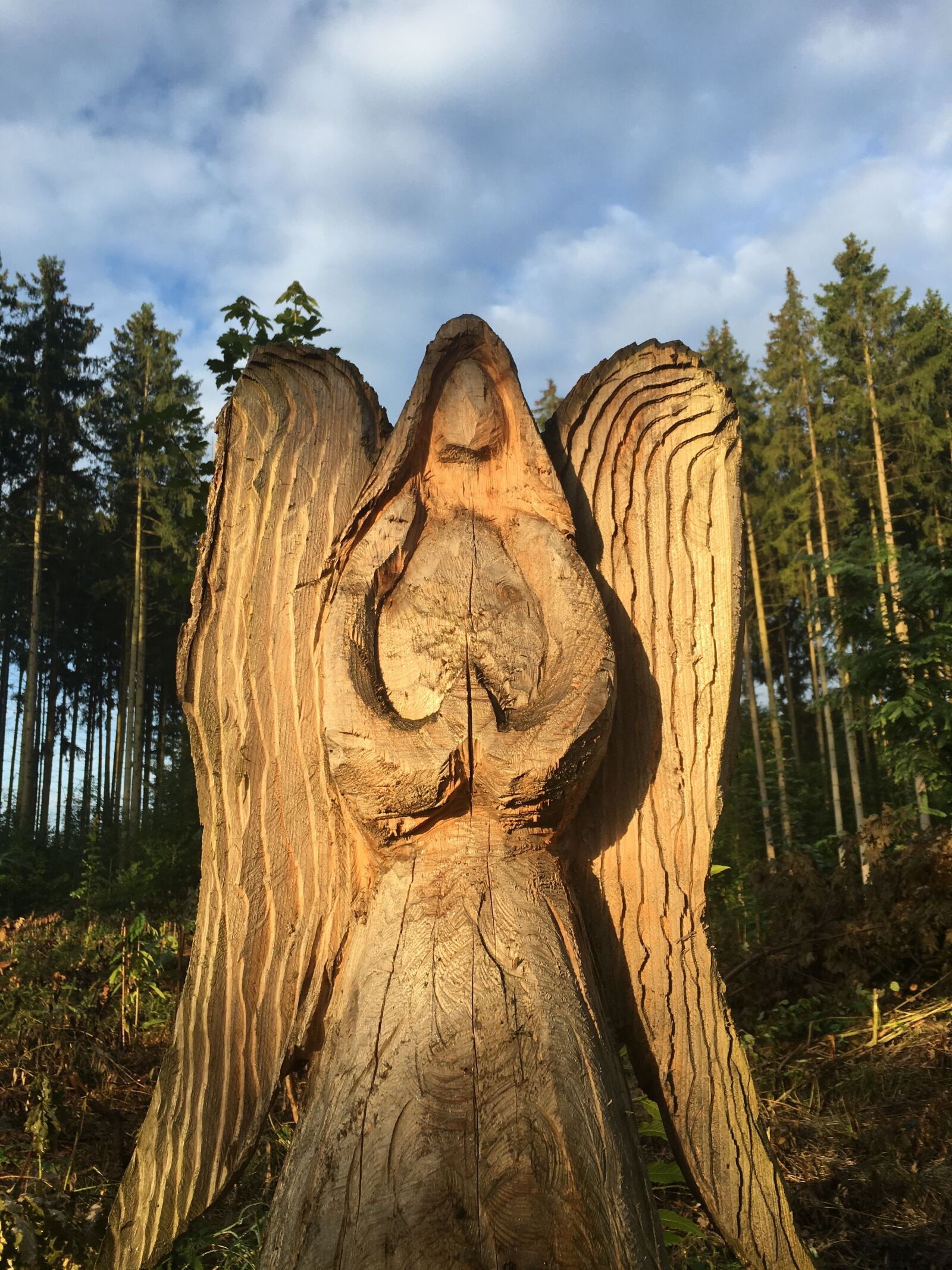 Apple iPhone 6s sample photo. Angel, carving, forest photography