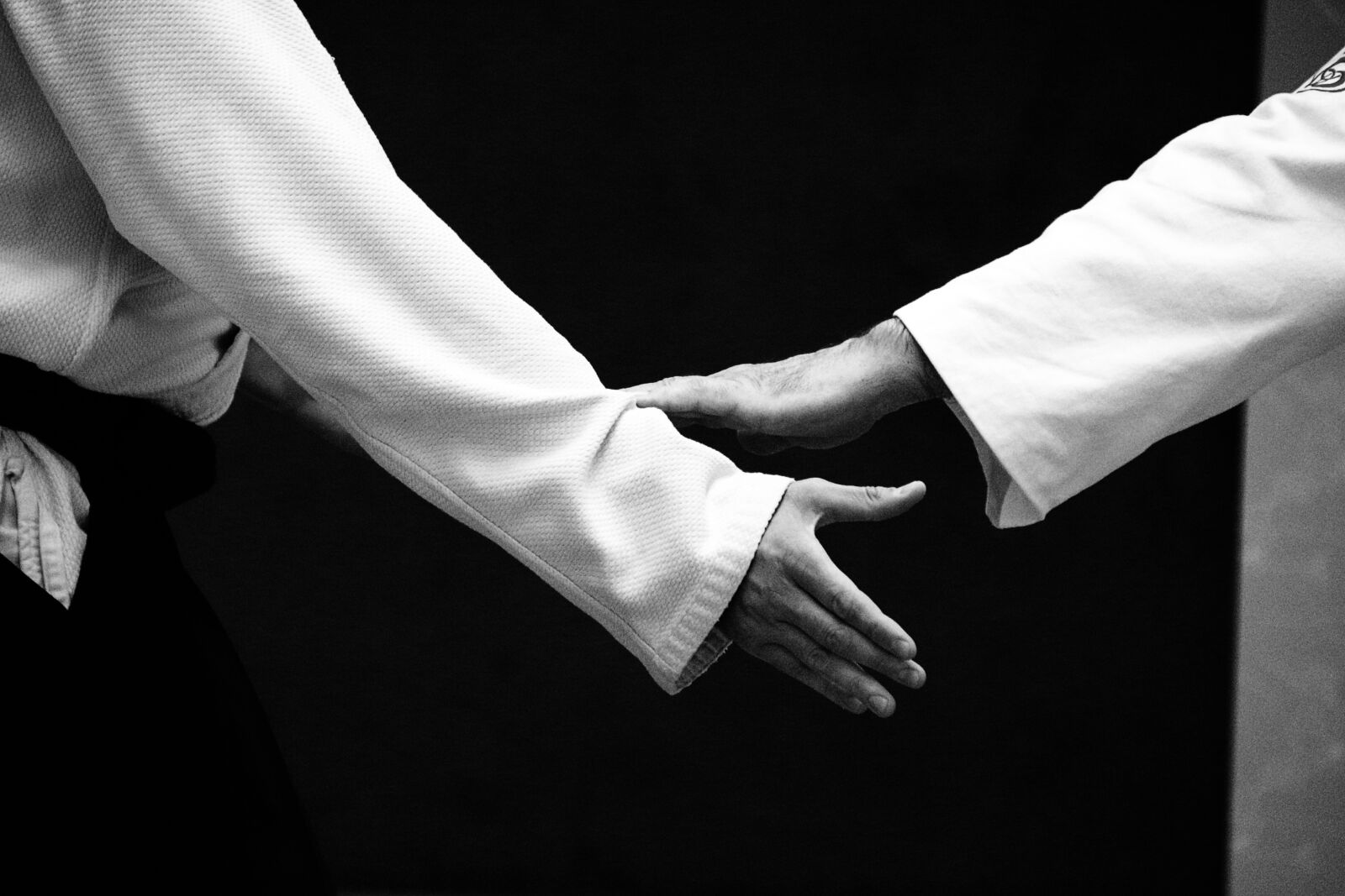 Canon EOS 700D (EOS Rebel T5i / EOS Kiss X7i) sample photo. Aikido, self-defense, training photography