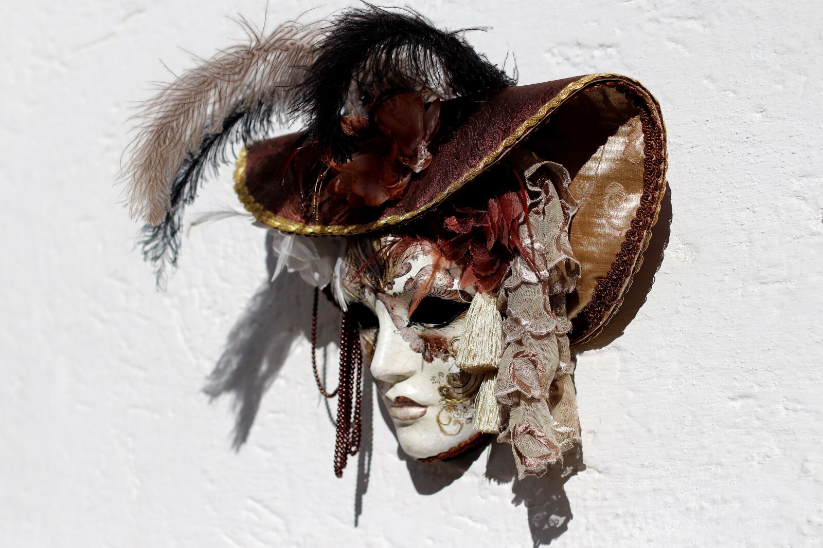 Canon EF 50mm F1.4 USM sample photo. Mask, venice, facemask photography