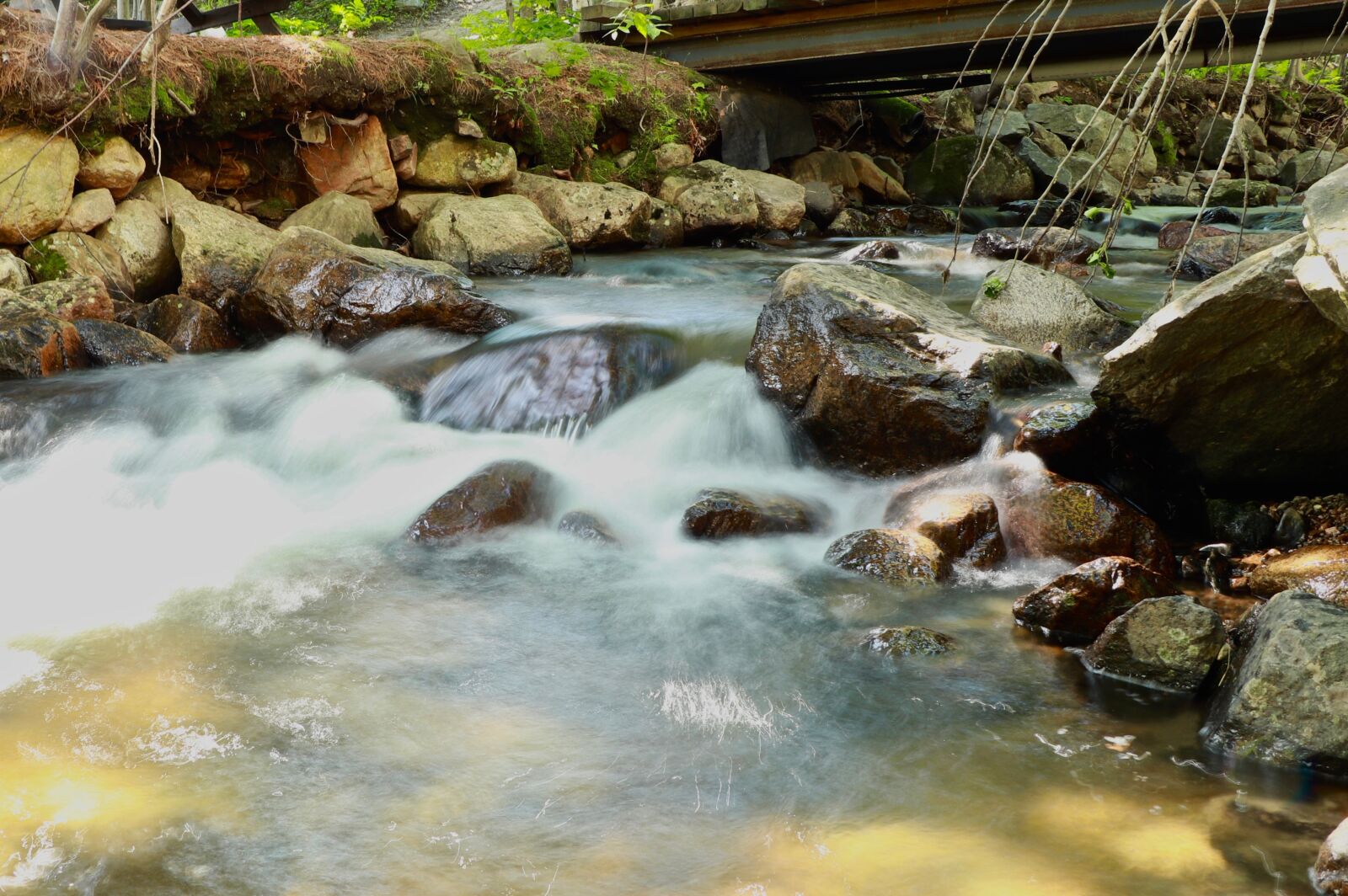 Canon EOS 800D (EOS Rebel T7i / EOS Kiss X9i) sample photo. Creek, water, landscape photography