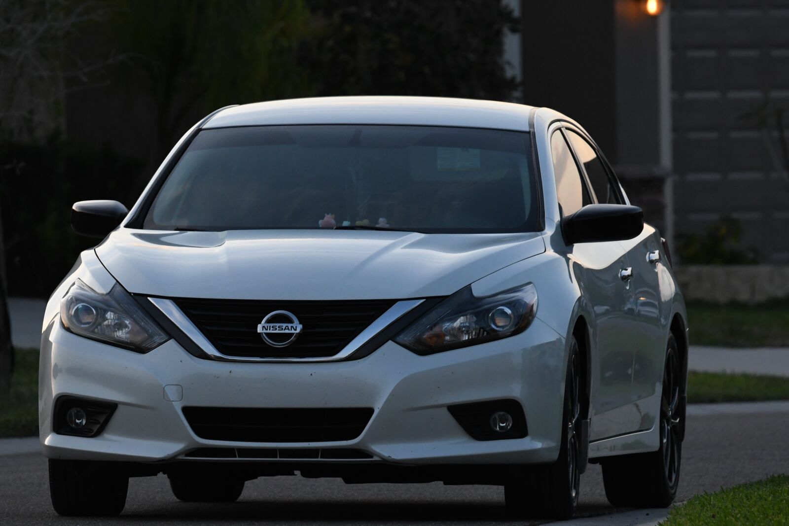 Nikon D7500 sample photo. Nissan, limousine, white photography