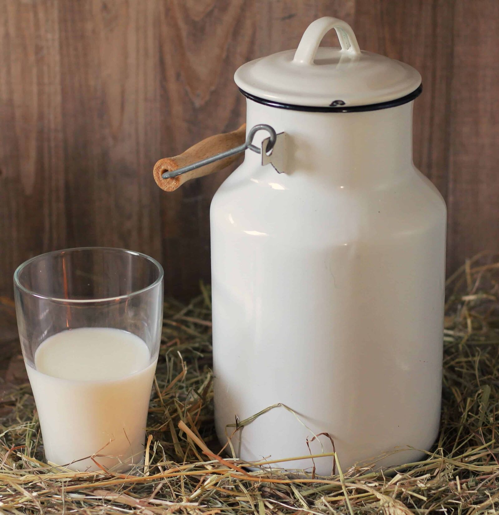 Canon EOS 550D (EOS Rebel T2i / EOS Kiss X4) sample photo. Photo studio, milk container photography