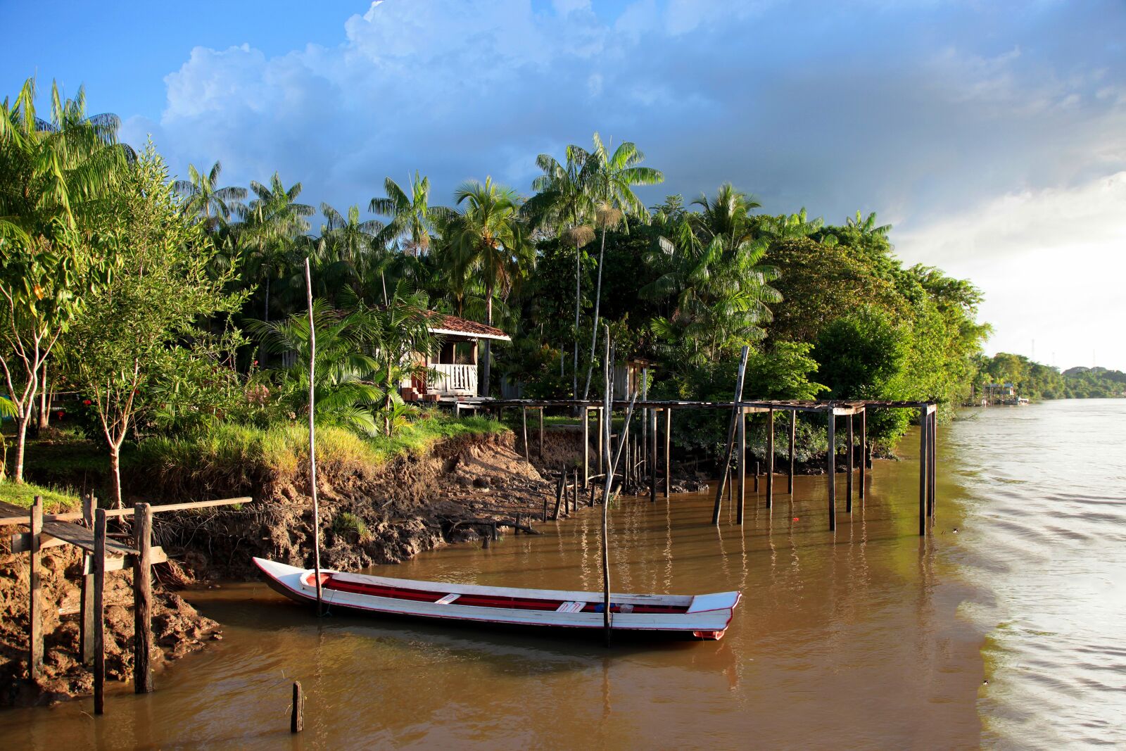 Canon EOS 5D Mark II sample photo. Amazon, rain forest, forest photography