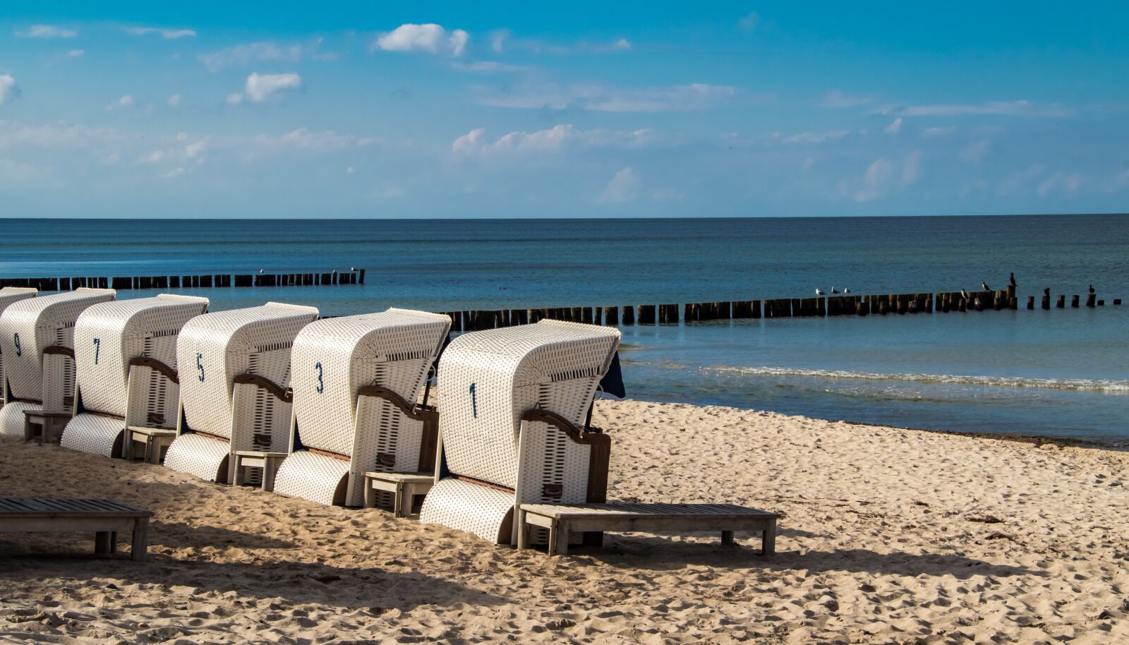 Canon EOS 80D sample photo. Baltic sea, coast, sea photography