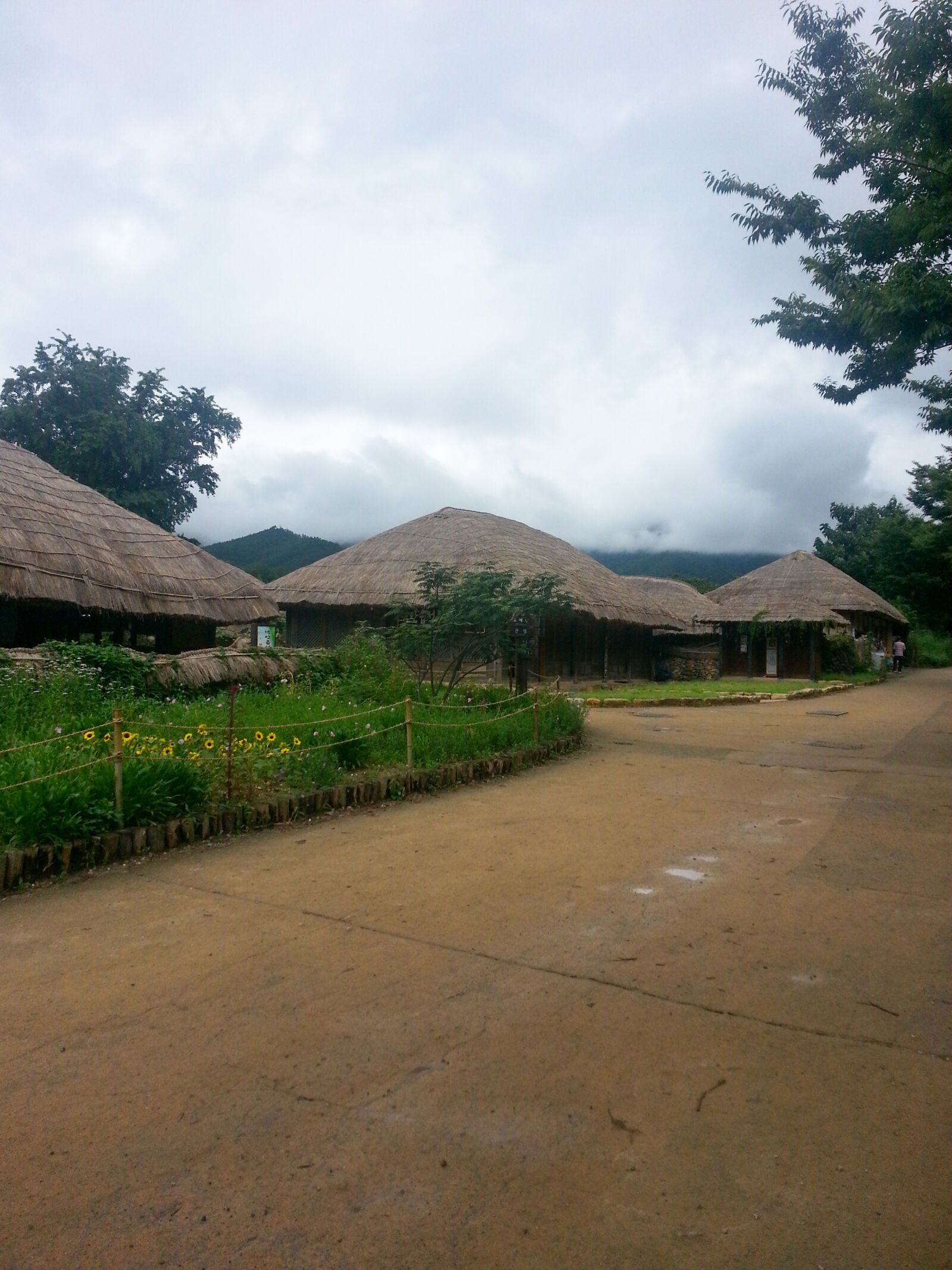 Samsung Galaxy Note2 sample photo. Thatch roofed hose, scenery photography