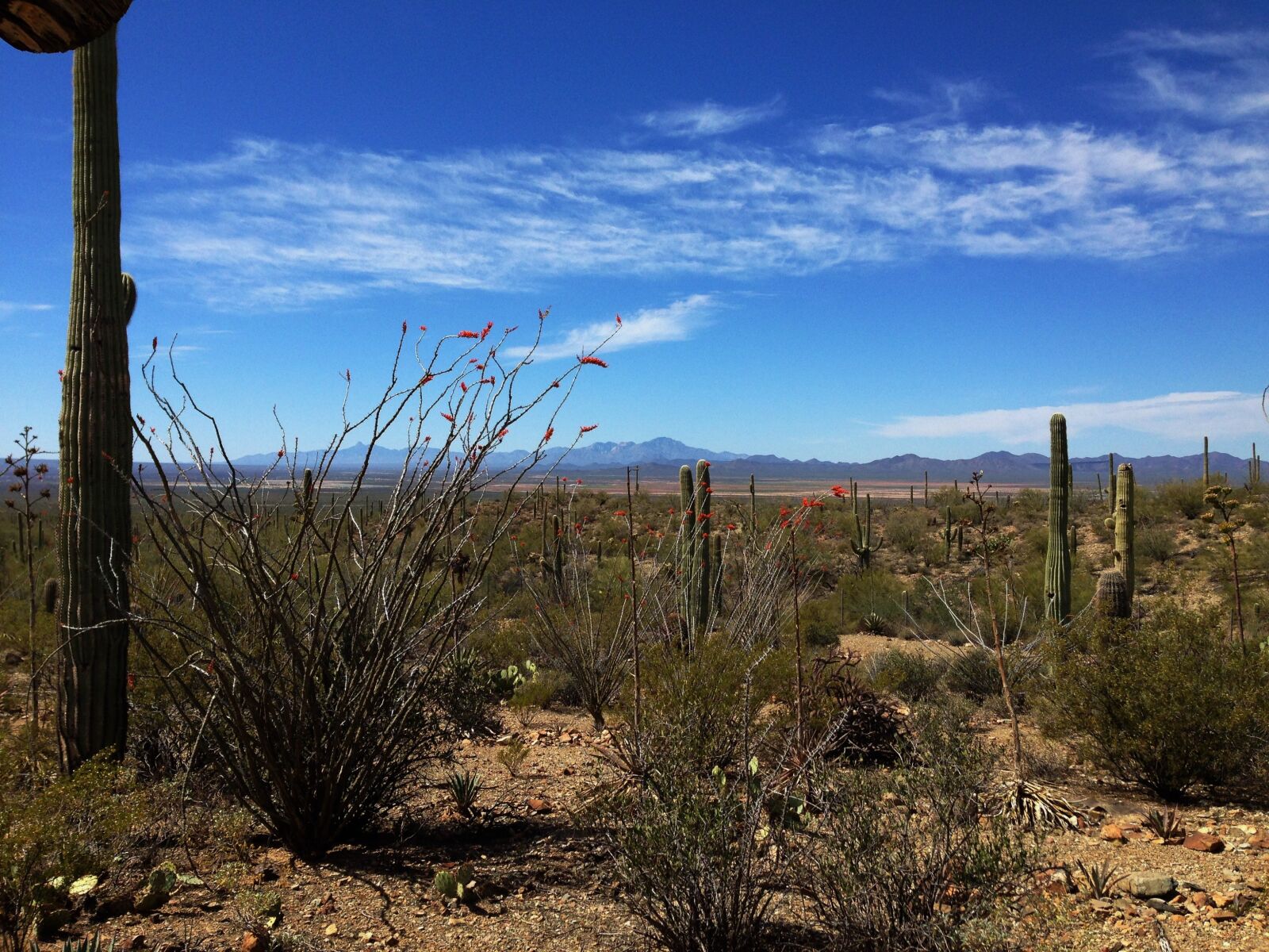 iPhone 5 back camera 4.12mm f/2.4 sample photo. Desert, landscape, desert landscape photography