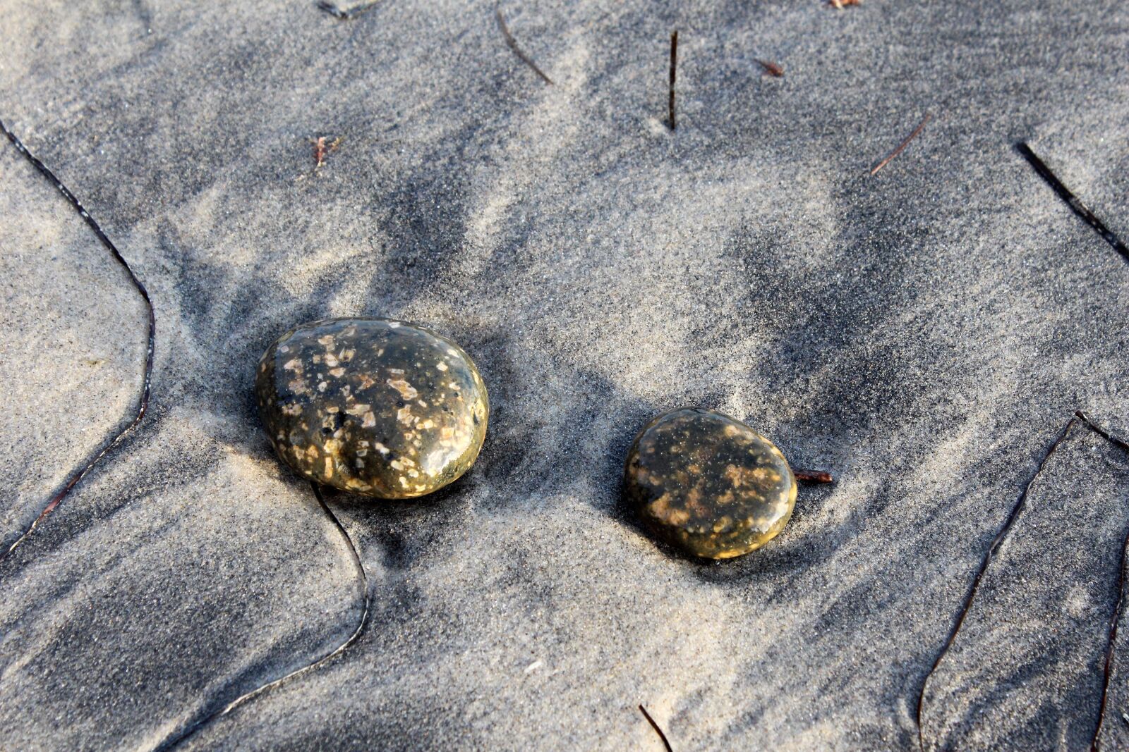 Canon EOS 600D (Rebel EOS T3i / EOS Kiss X5) sample photo. Stones, beach, sandy beach photography
