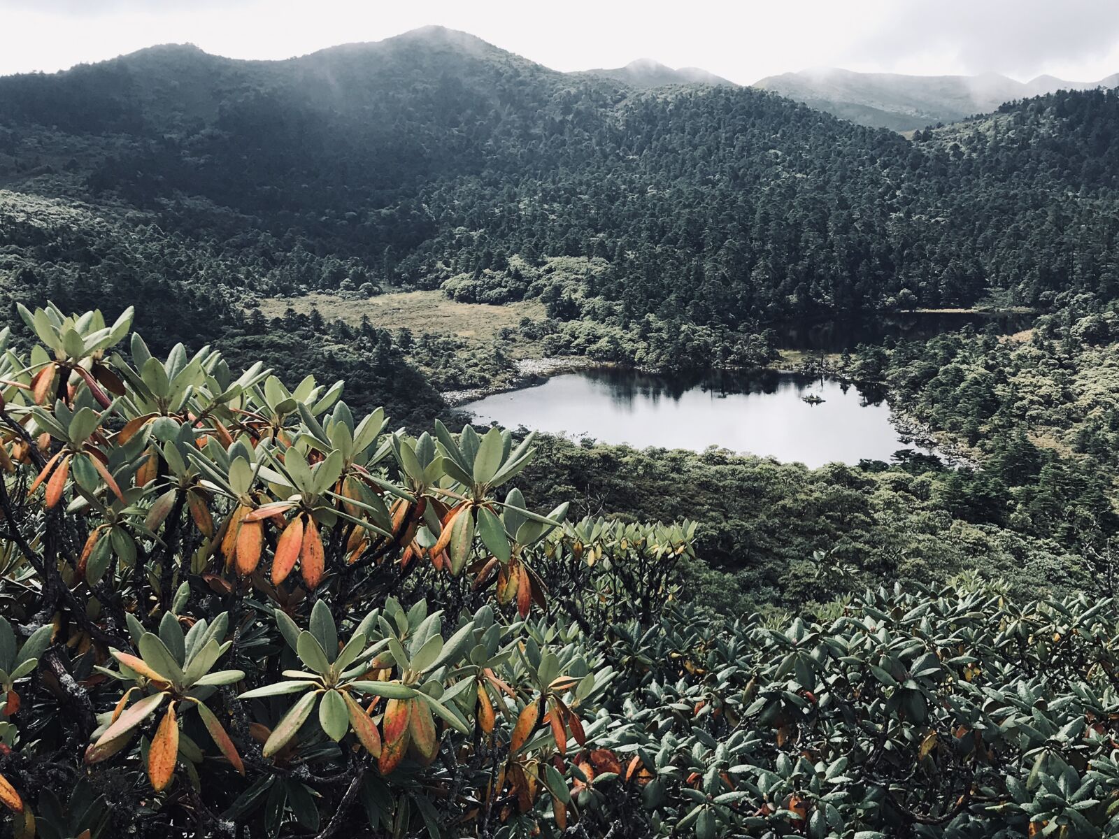iPhone 7 Plus back dual camera 3.99mm f/1.8 sample photo. Lijiang, laojun mountain, ninety photography