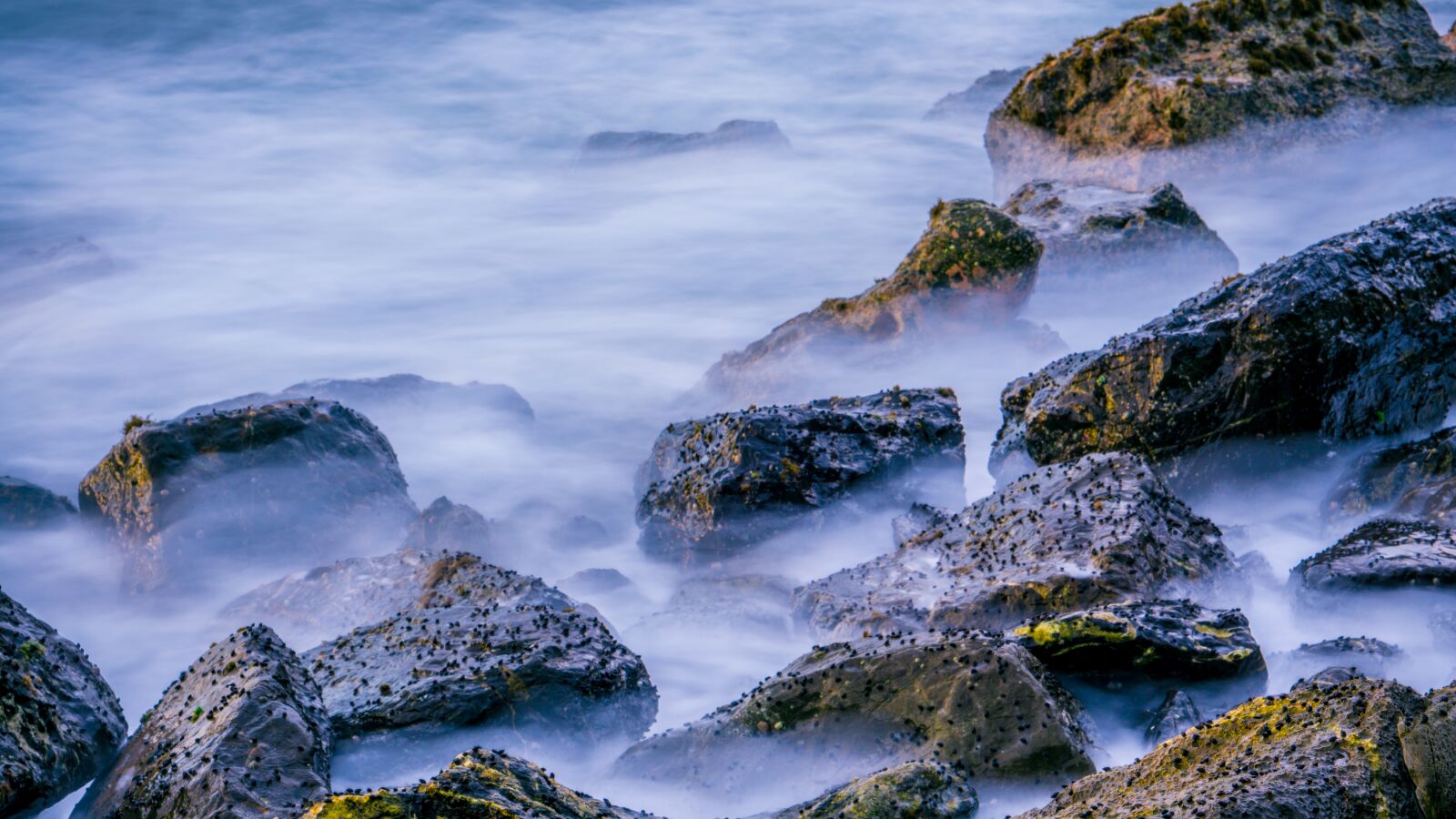 E 50mm F1.8 OSS sample photo. Rock, slow motion, coral photography