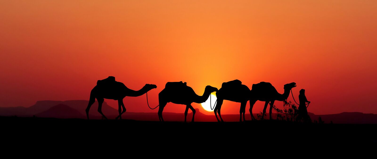 Panasonic Lumix DMC-FZ200 sample photo. Sunset, caravan, camels photography