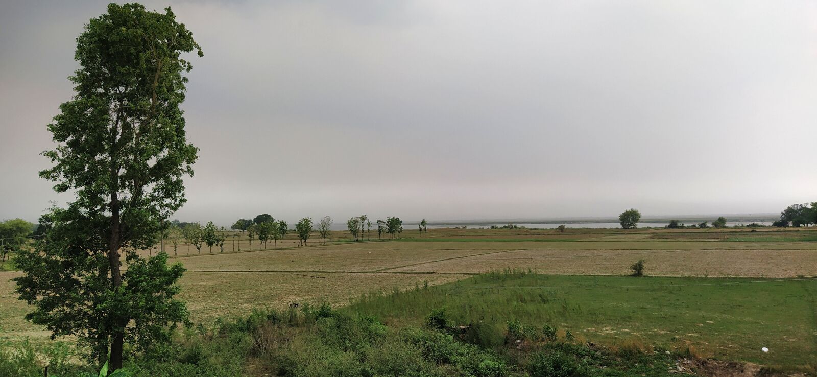 Xiaomi Mi A3 sample photo. Greenery, land, cloudy photography