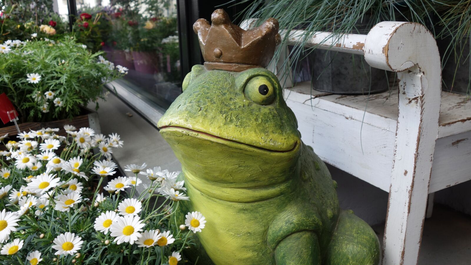 Sony Cyber-shot DSC-RX100 sample photo. Frog, king, prince photography