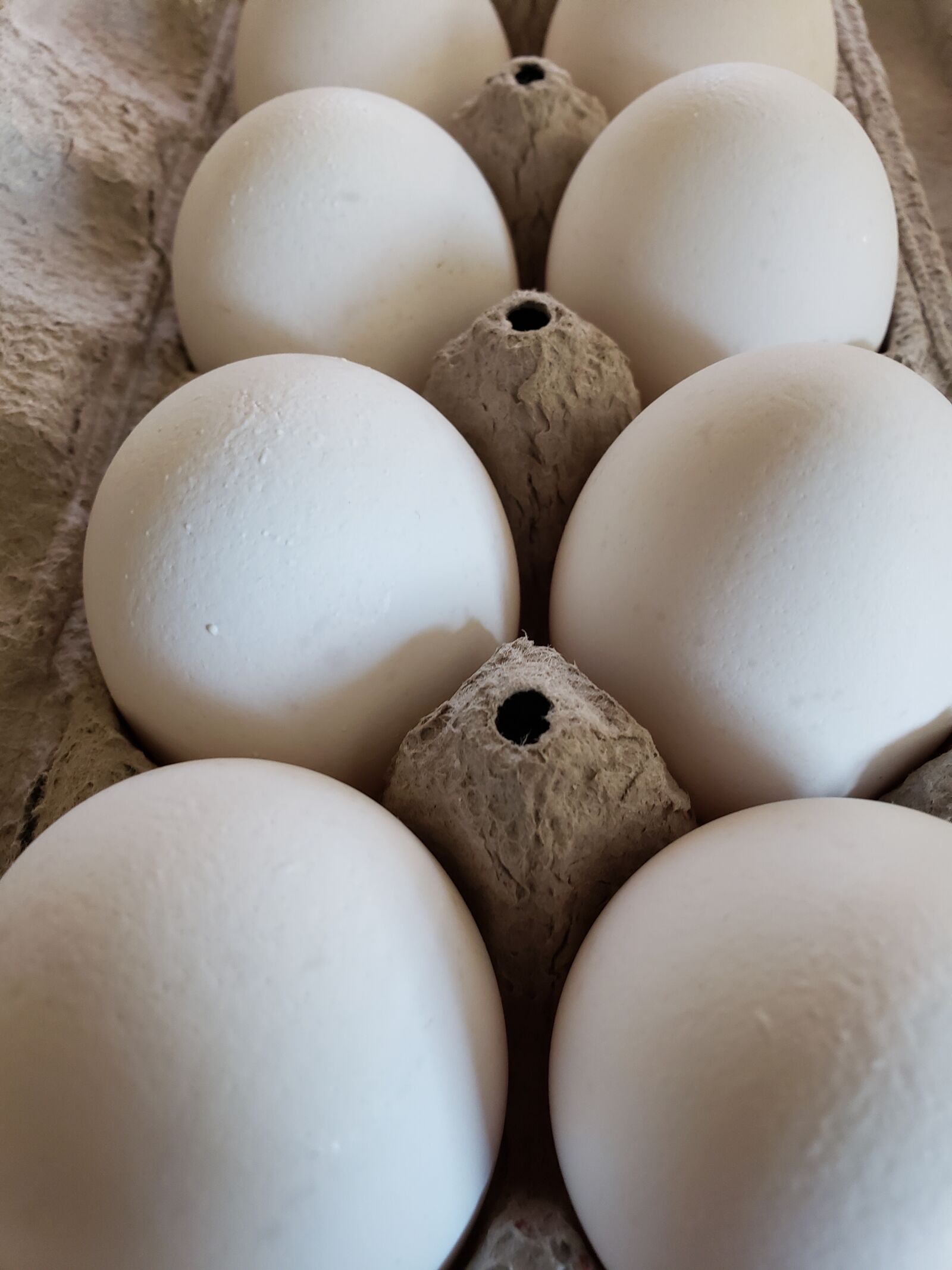 Samsung Galaxy S9+ sample photo. Eggs, dozen, food photography