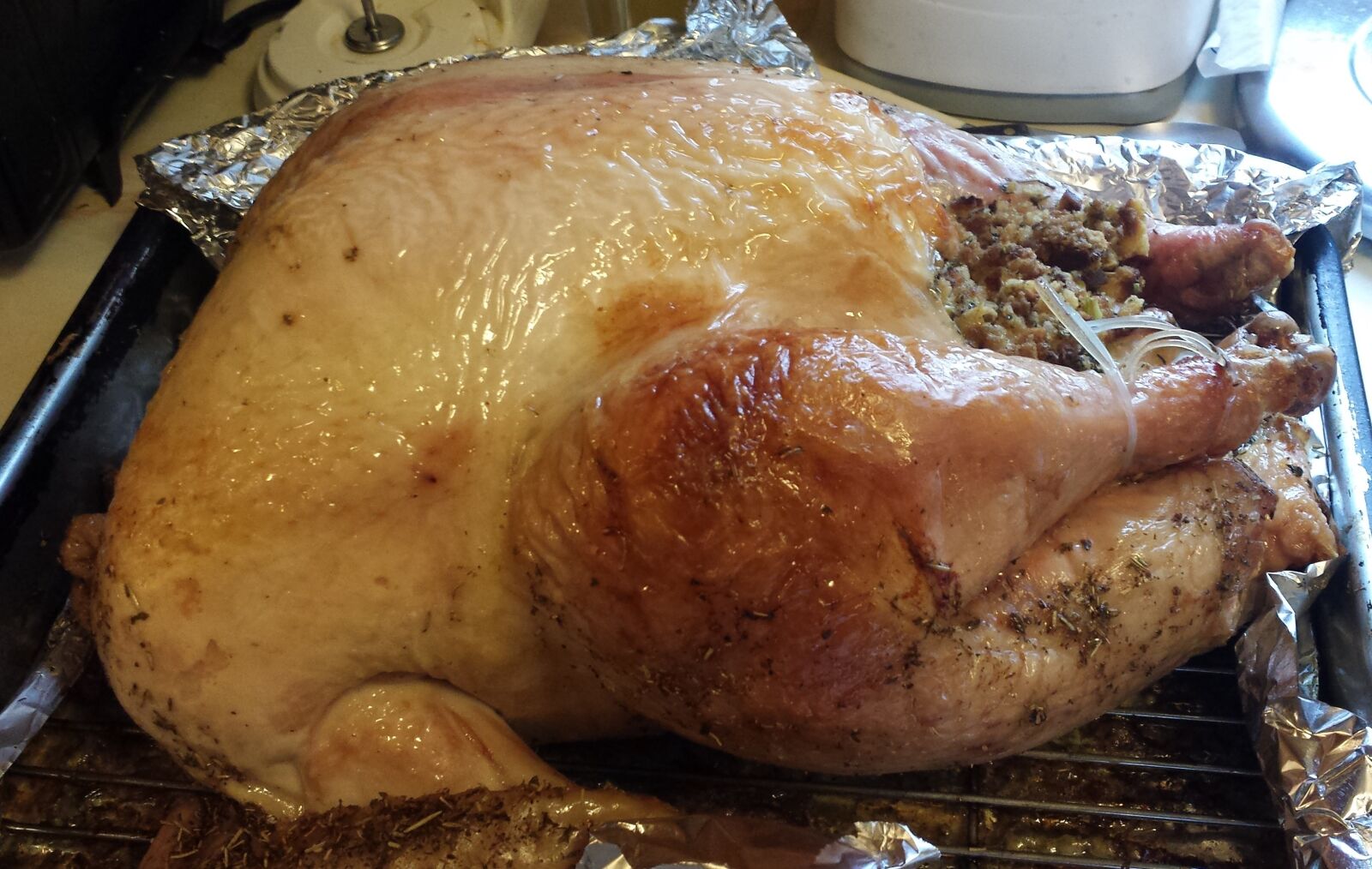Samsung Galaxy S4 sample photo. Thanksgiving, turkey, holiday photography