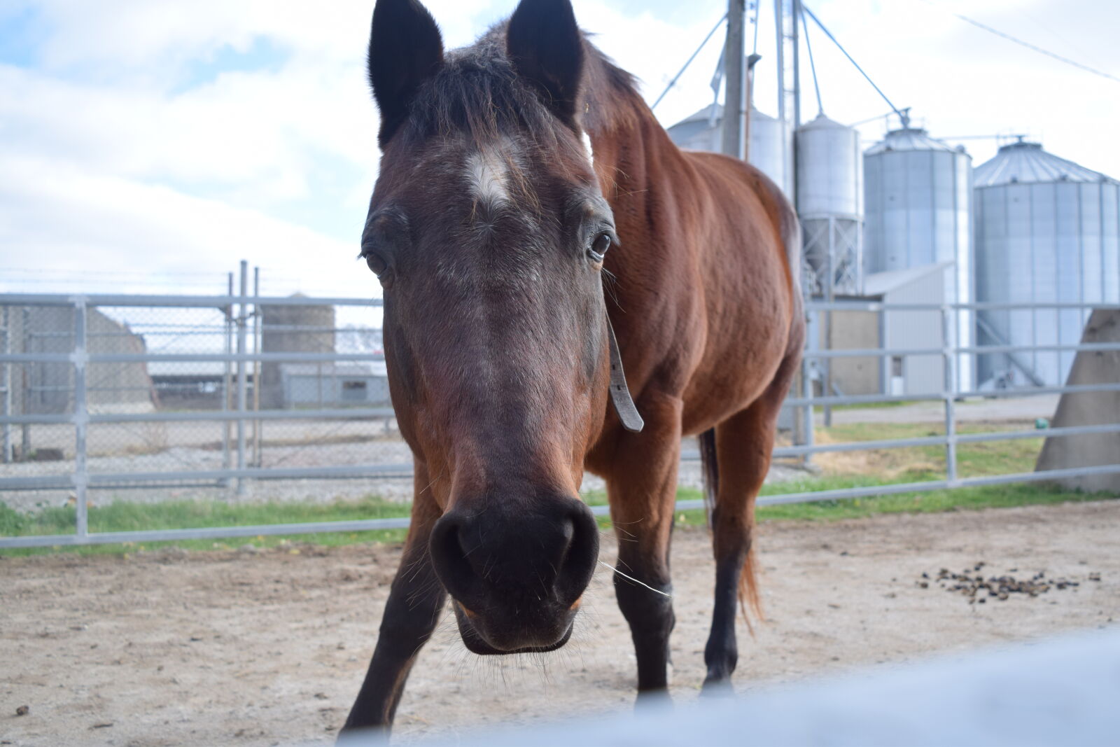 Nikon D3300 sample photo
