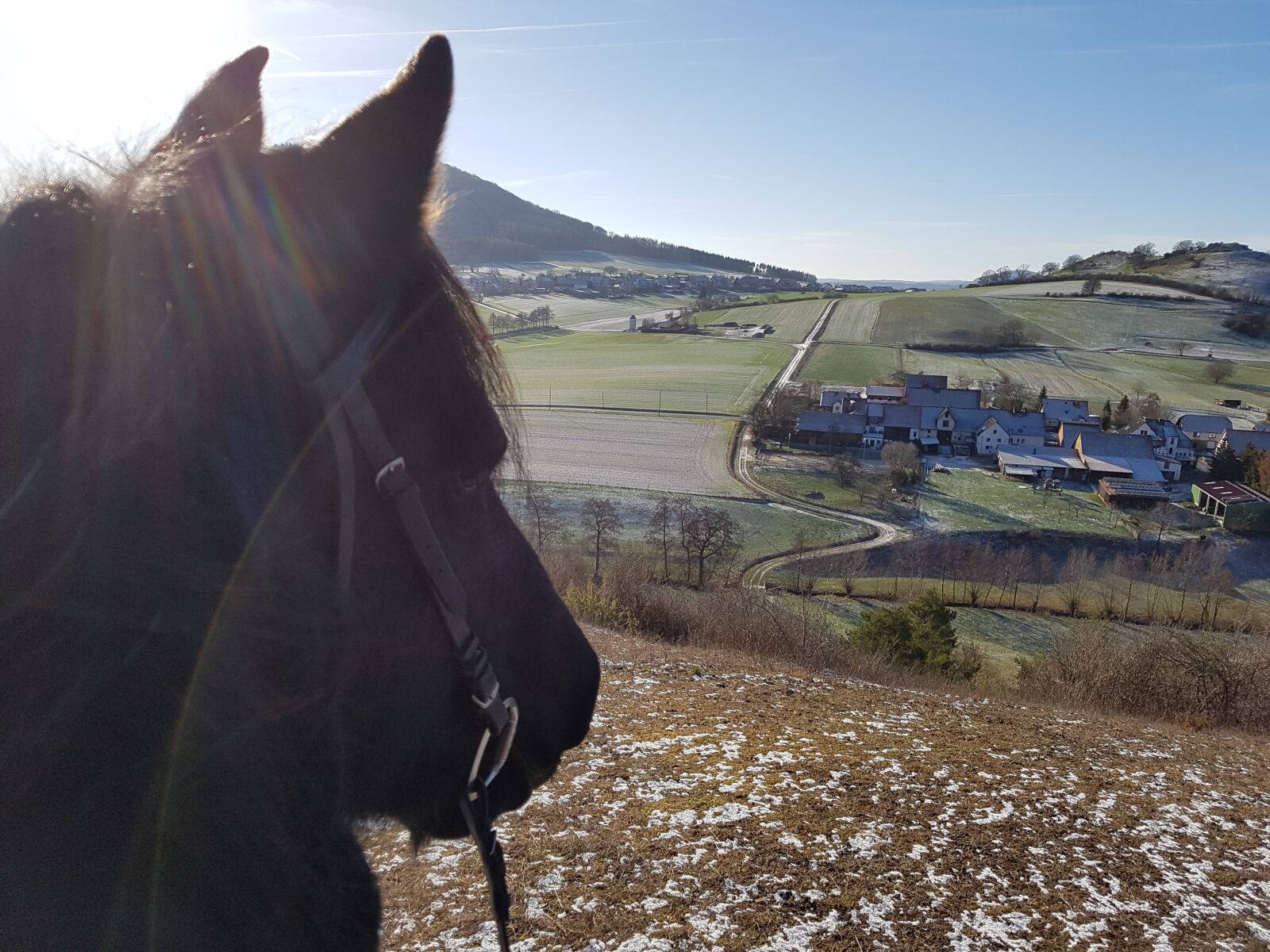 Samsung Galaxy S7 sample photo. Horse, animal, riding photography
