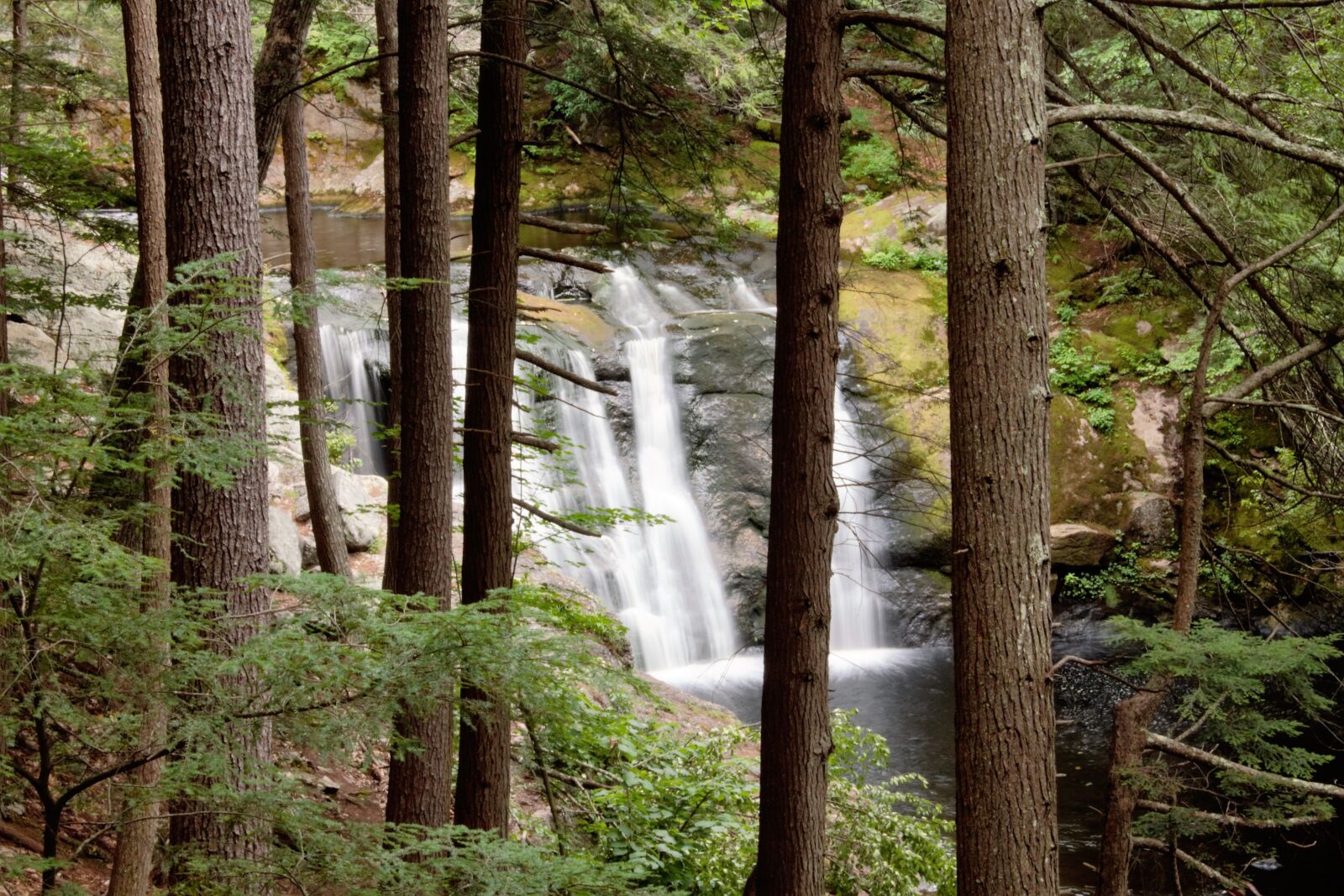 Canon EOS 1100D (EOS Rebel T3 / EOS Kiss X50) sample photo. Waterfall, forest, scenery photography