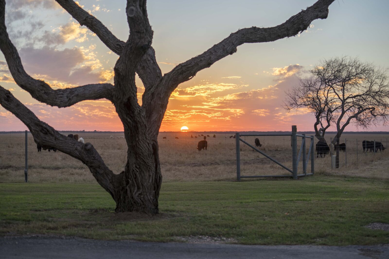 Sony a7 II + Sony FE 70-200mm F4 G OSS sample photo. West texas, ranch, sunset photography