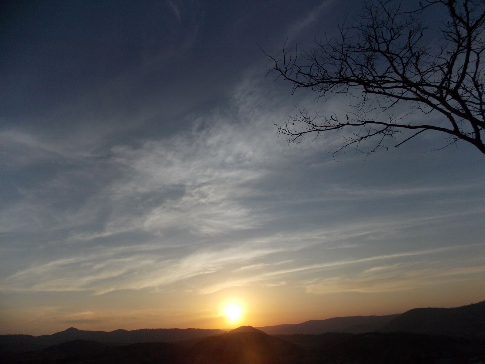 Nikon Coolpix L810 sample photo. Nature, future photography