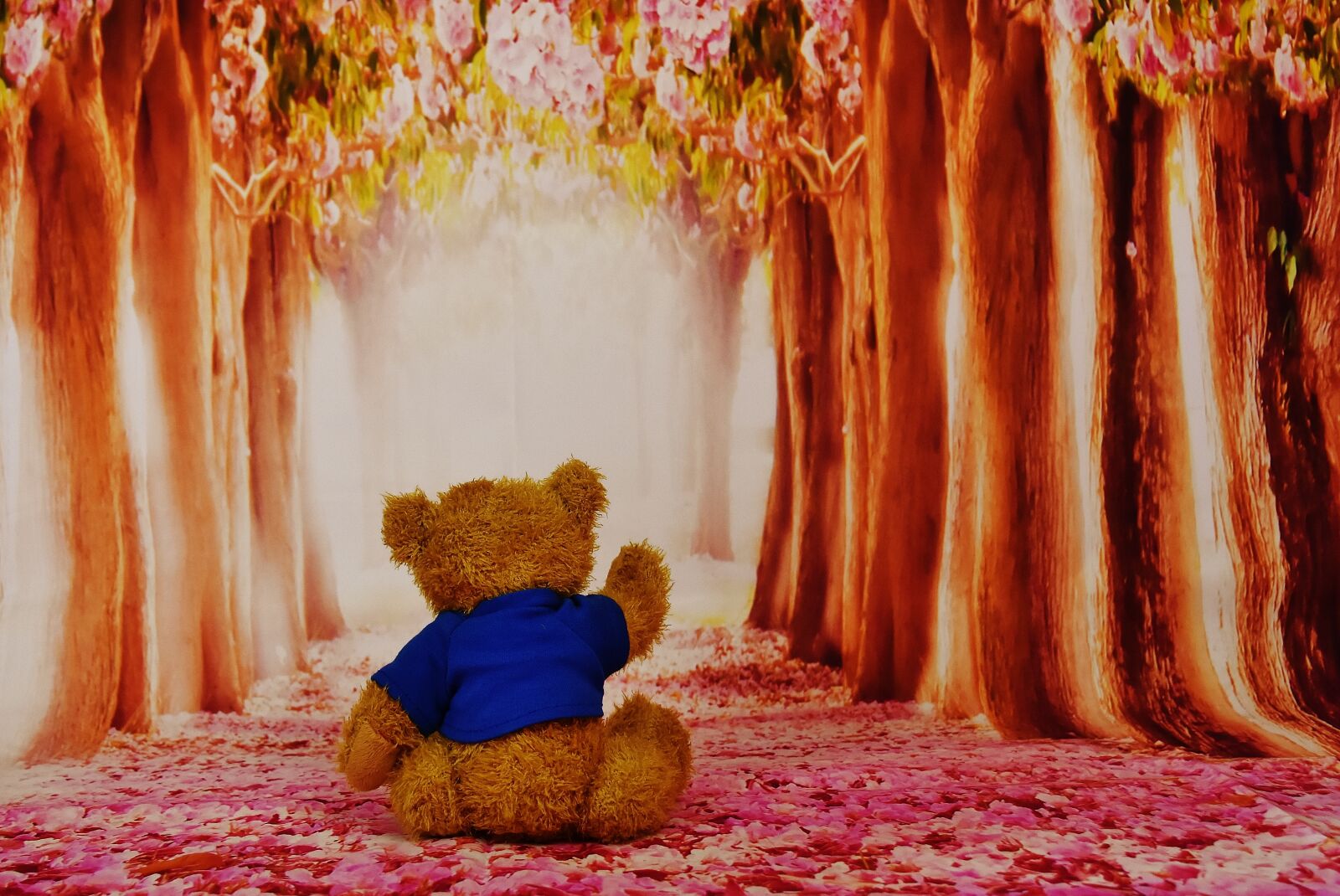 Nikon D7200 sample photo. Longing, miss, teddy photography