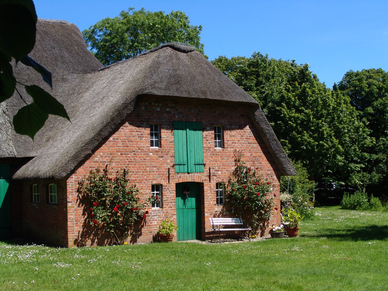 Sony DSC-F828 sample photo. House, thatched roof, reed photography