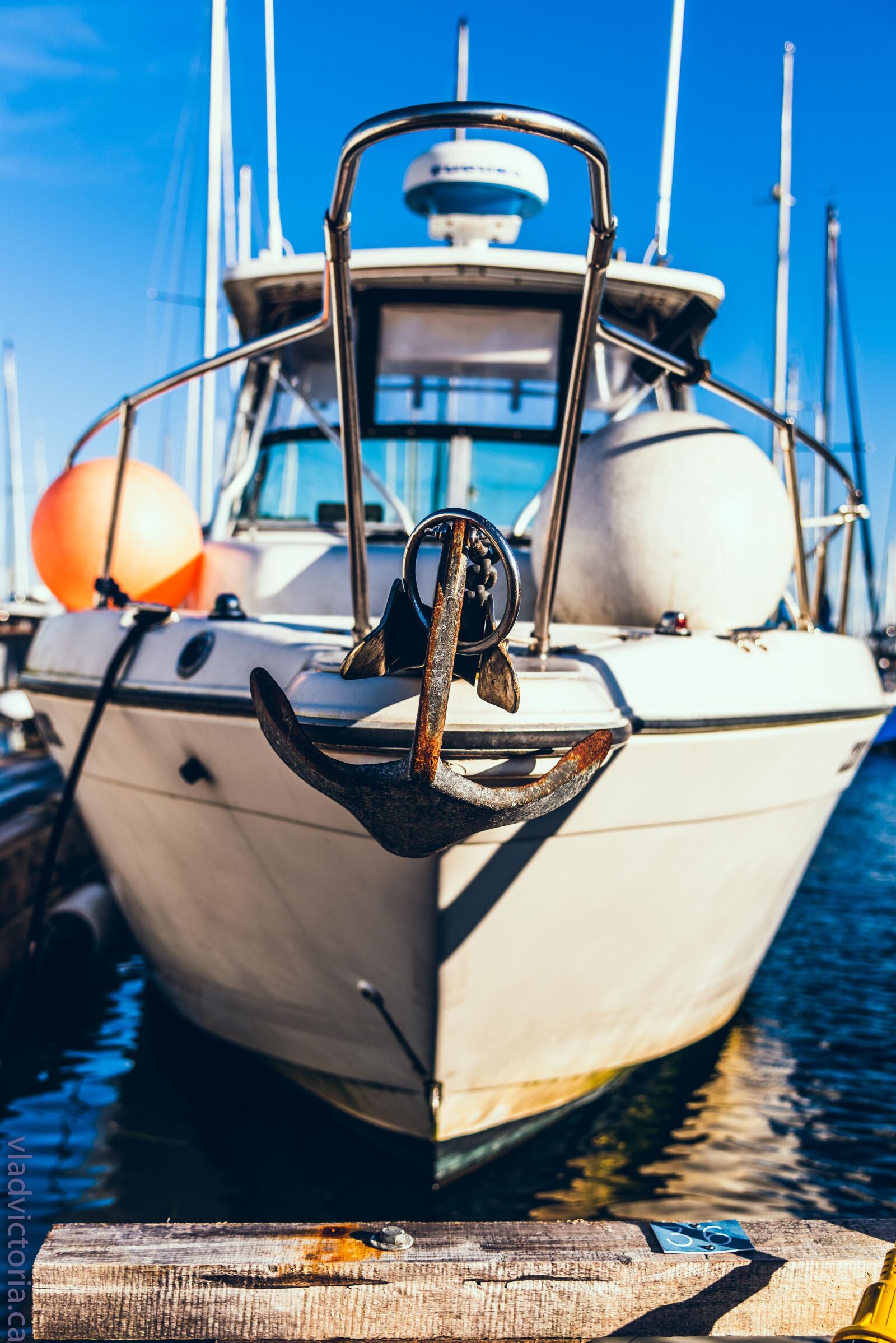 Nikon D750 sample photo. Marina, boat, front photography