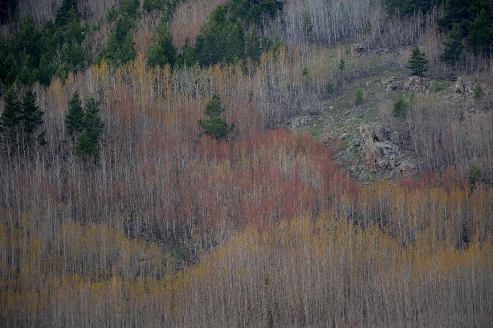 Nikon D7100 sample photo. Turkey, g m hane photography