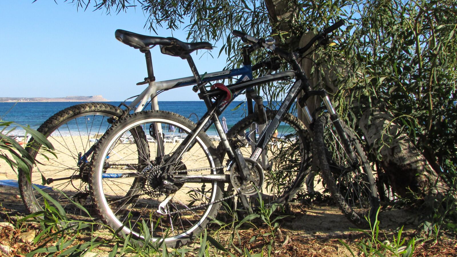 Canon PowerShot SX400 IS sample photo. Bicycle, beach, vacation photography