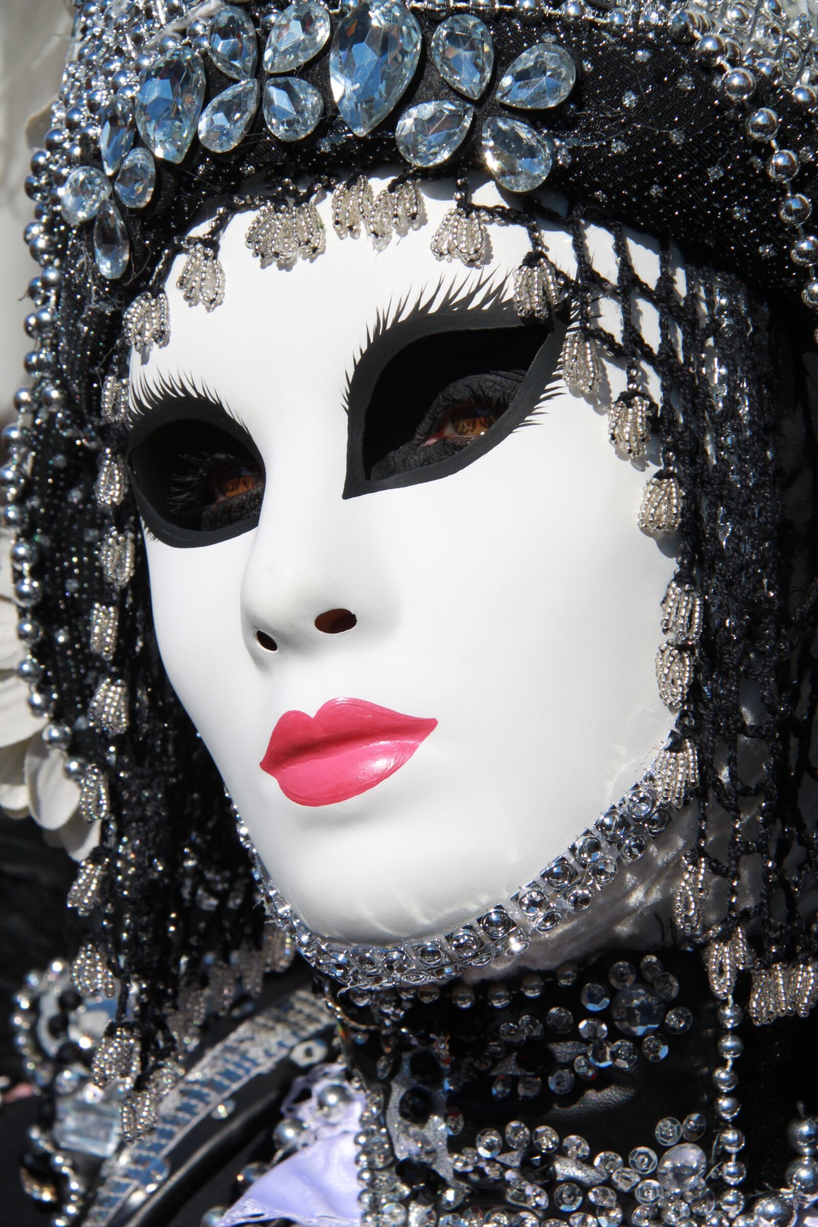 Canon EOS 500D (EOS Rebel T1i / EOS Kiss X3) sample photo. The carnival of venice photography