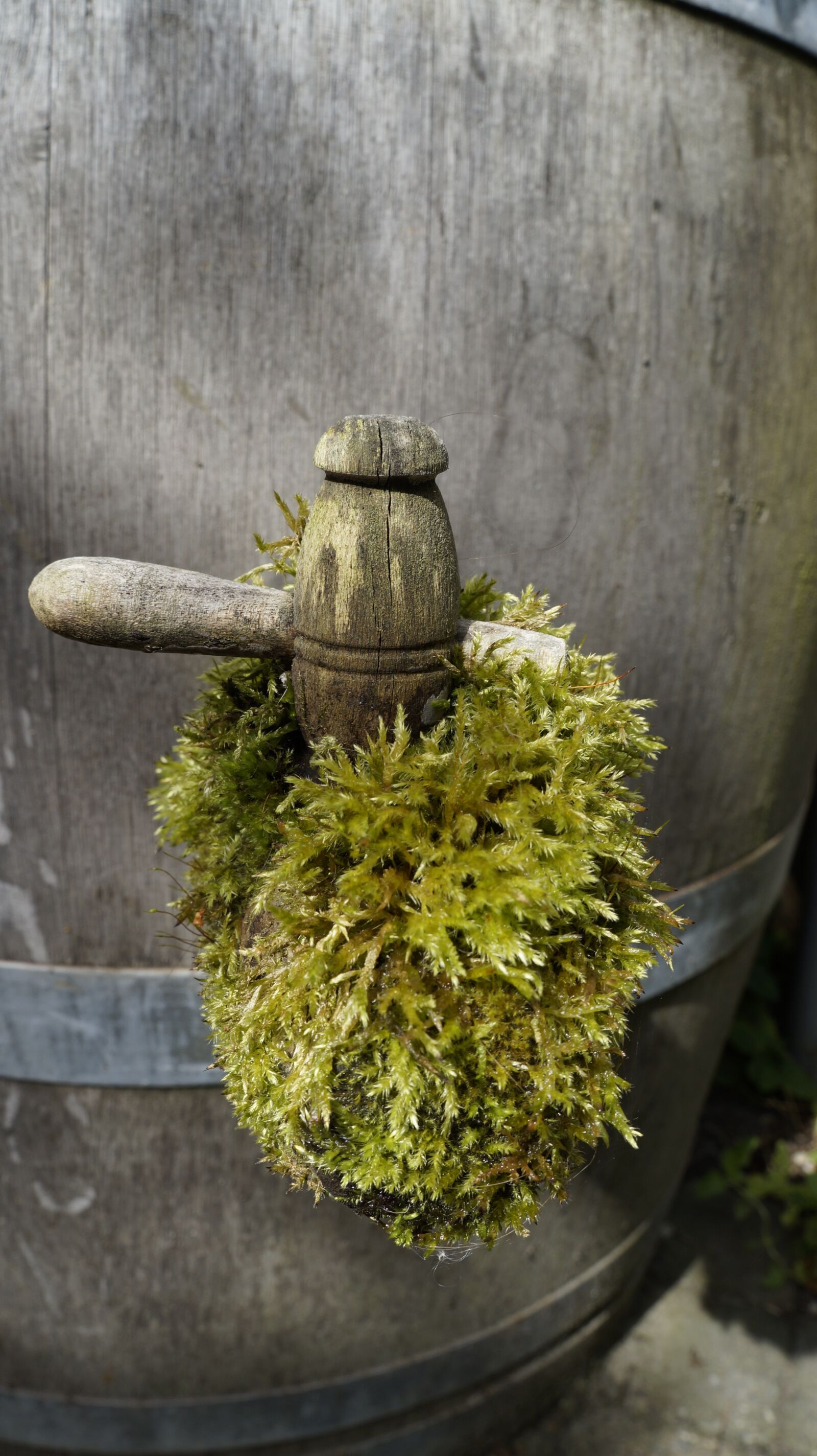 Sony Alpha a3000 sample photo. Moss, watervat, wooden crane photography
