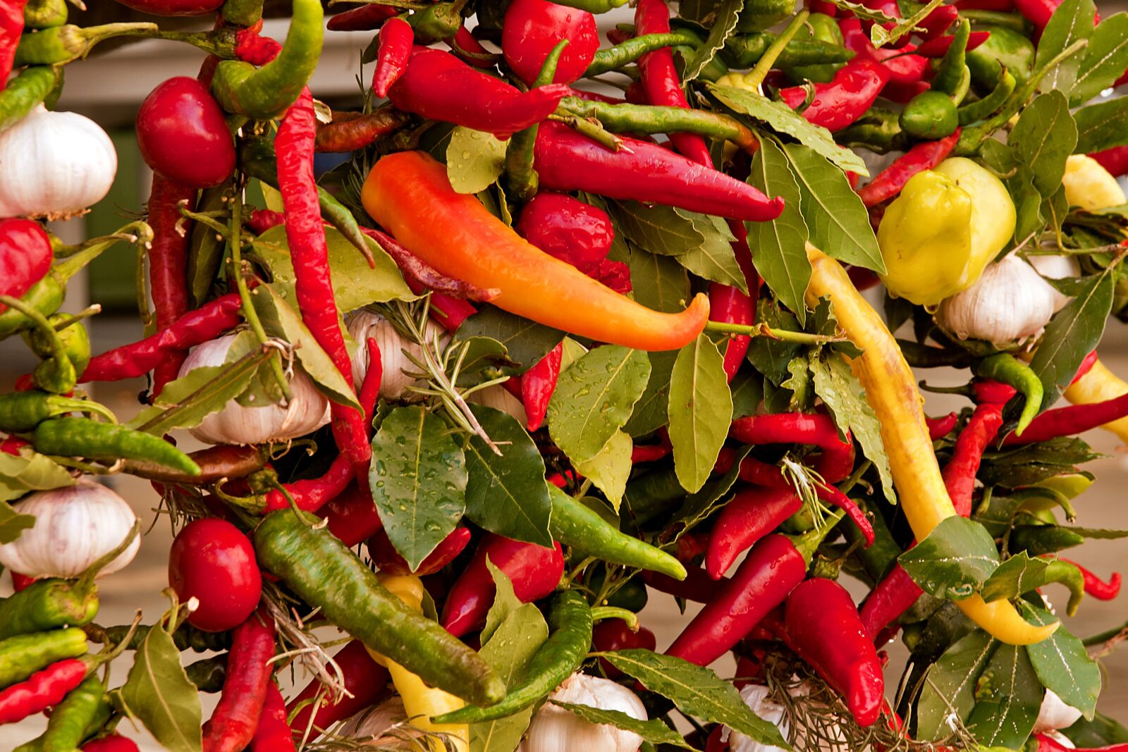 Nikon D300 sample photo. Vegetables, bazaar, paprika photography