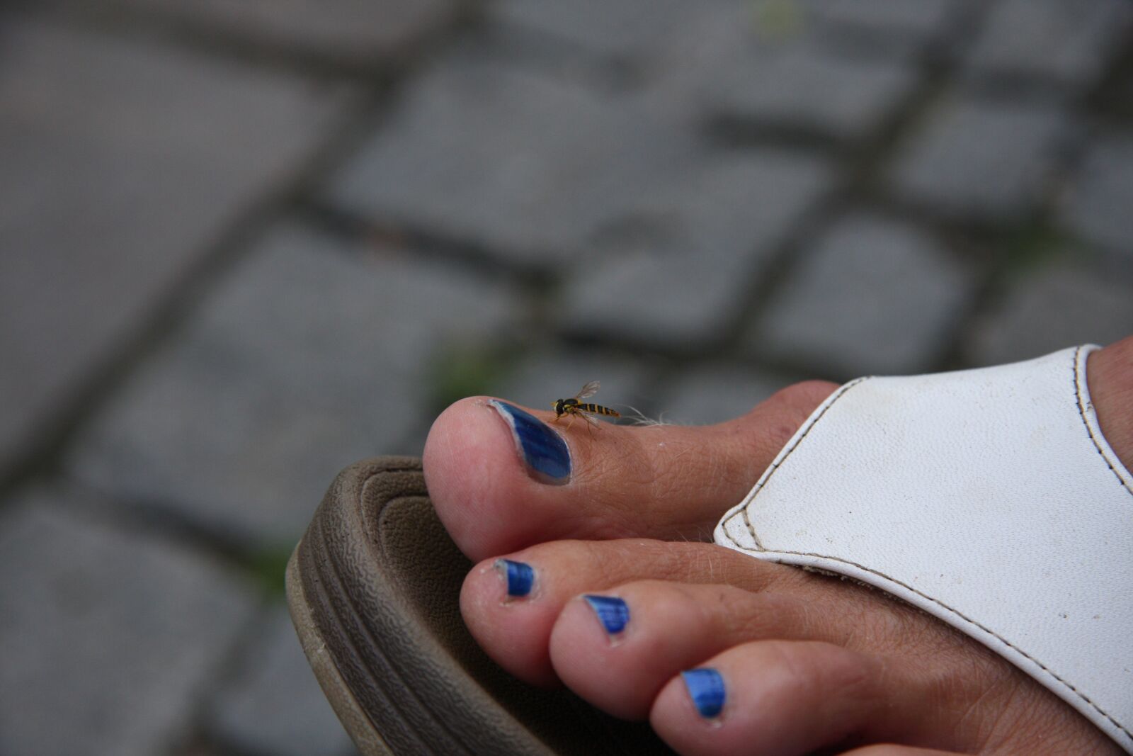 Canon EOS 40D sample photo. Ten, foot, female photography
