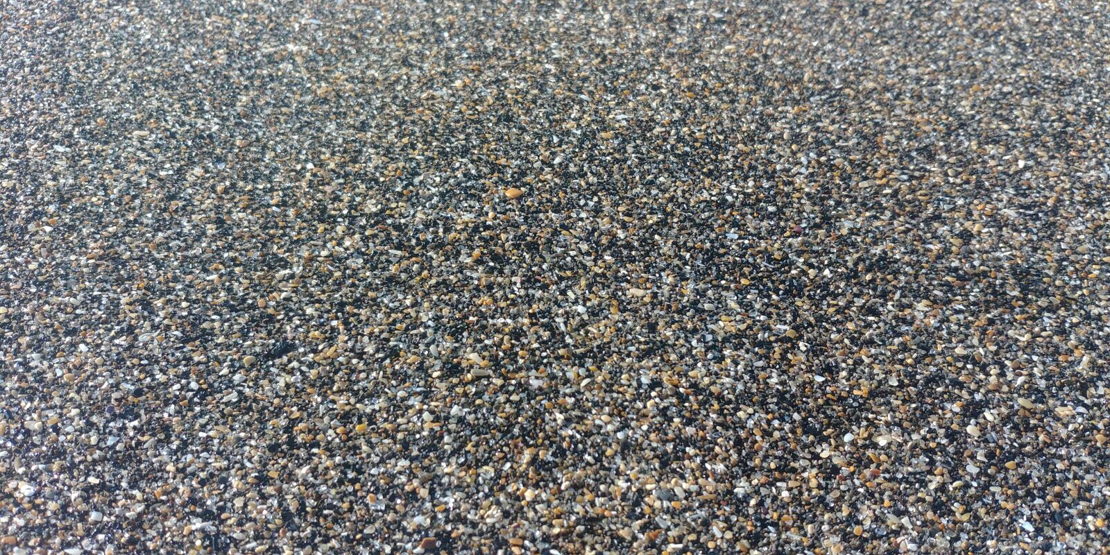 LG G6 sample photo. Pebbles, shells, beach photography