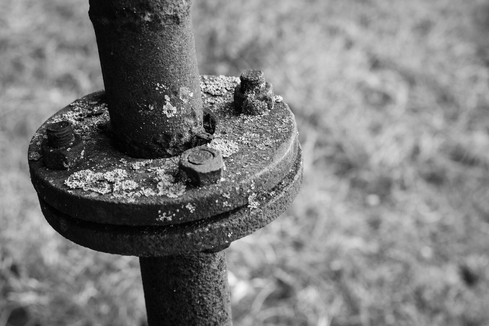 Canon EOS 700D (EOS Rebel T5i / EOS Kiss X7i) + Canon EF 50mm F1.8 STM sample photo. Screw, matrix, tube photography