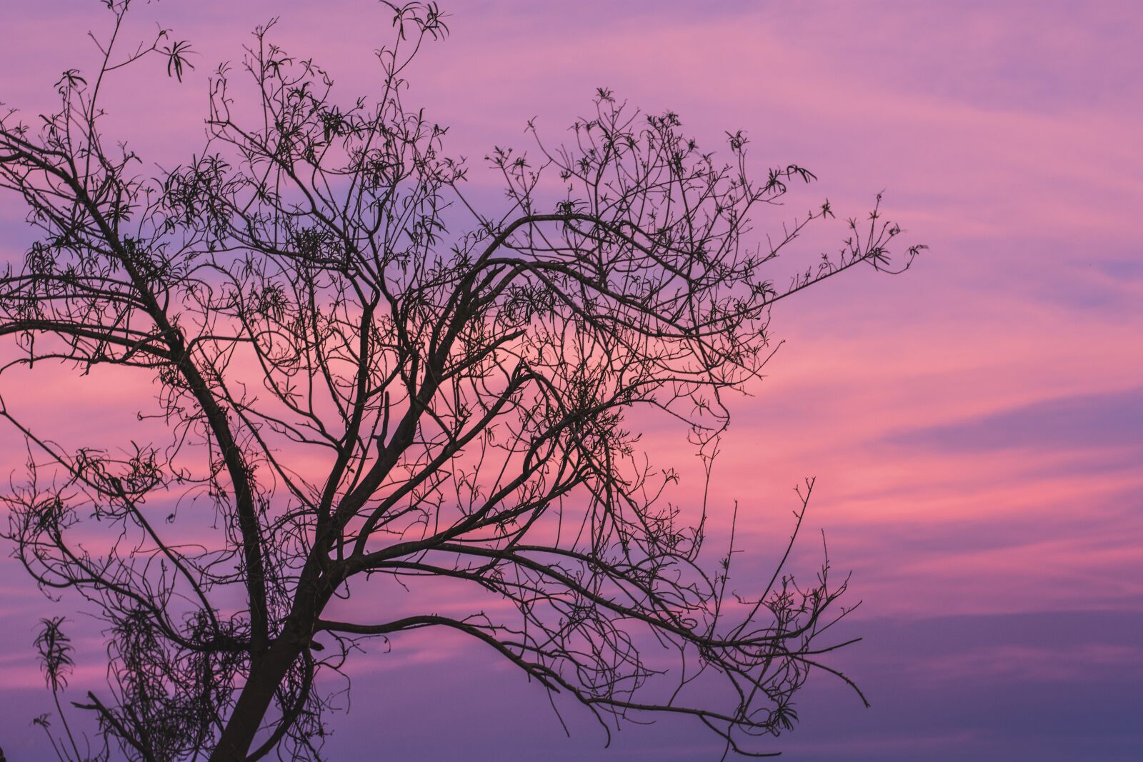 Nikon D7200 sample photo. Sunset, sky, landscape photography