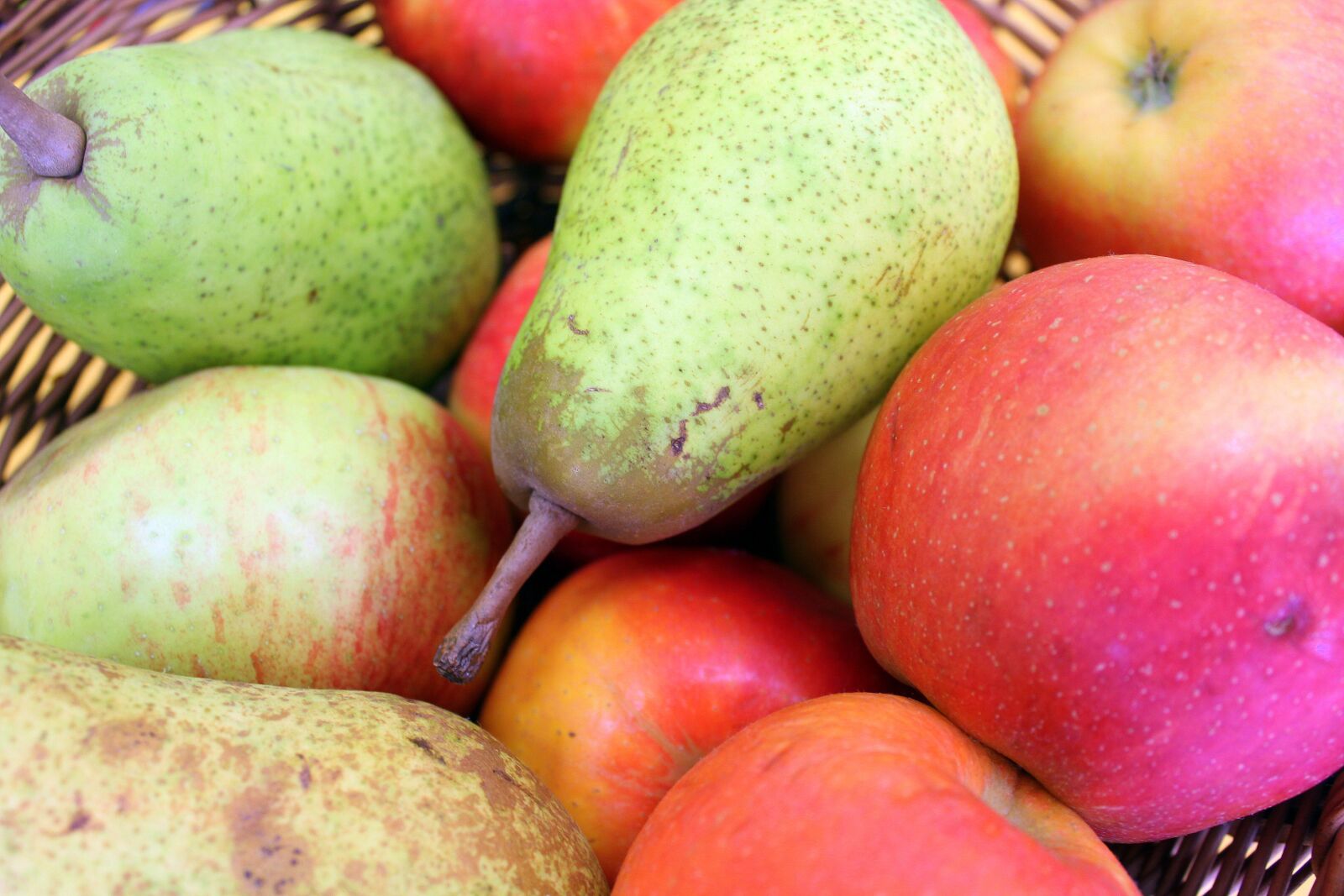Canon EOS 1200D (EOS Rebel T5 / EOS Kiss X70 / EOS Hi) sample photo. Fruit, apples, pears photography