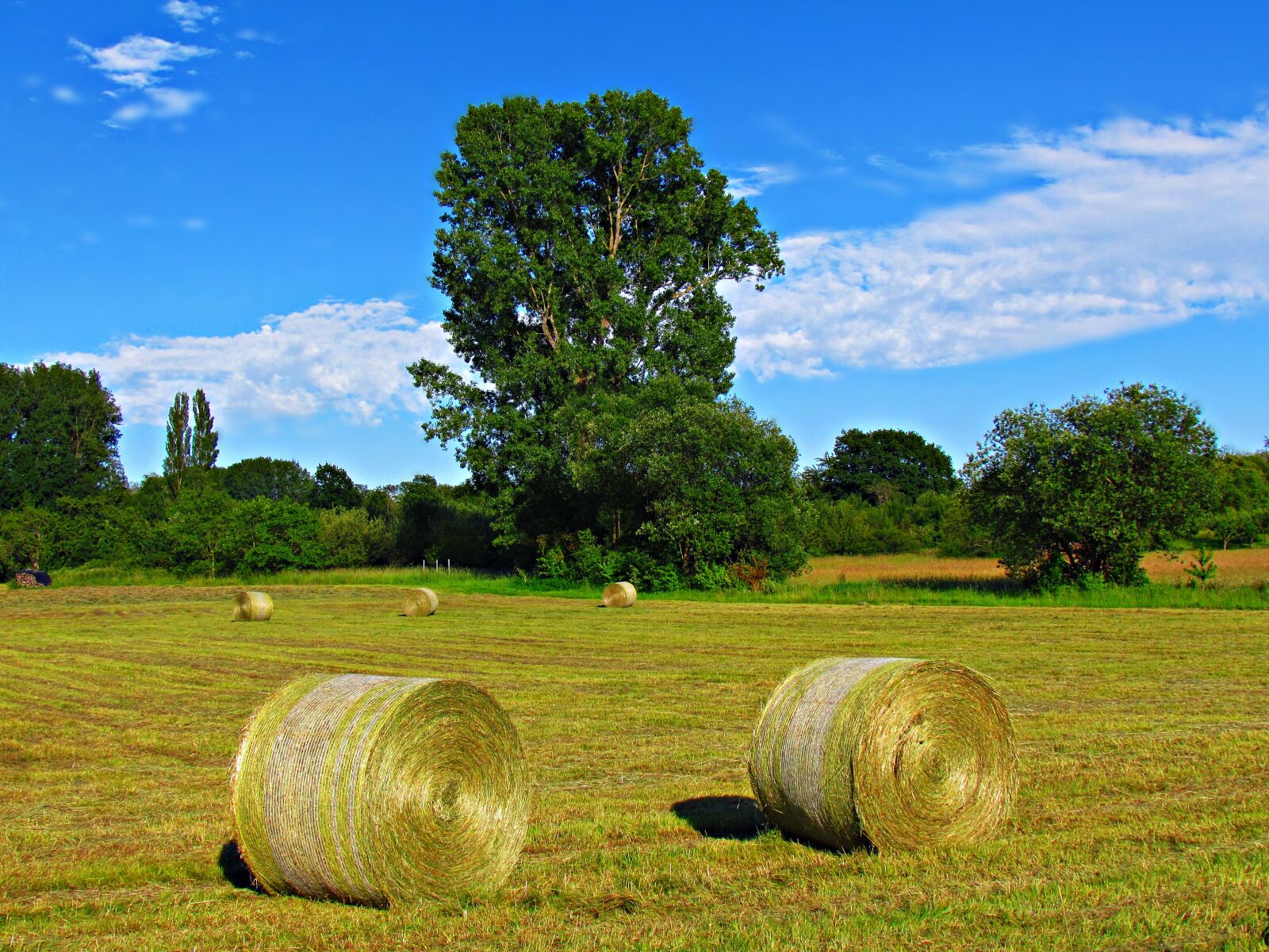 Canon PowerShot SX30 IS sample photo. Field, meadow, hay photography