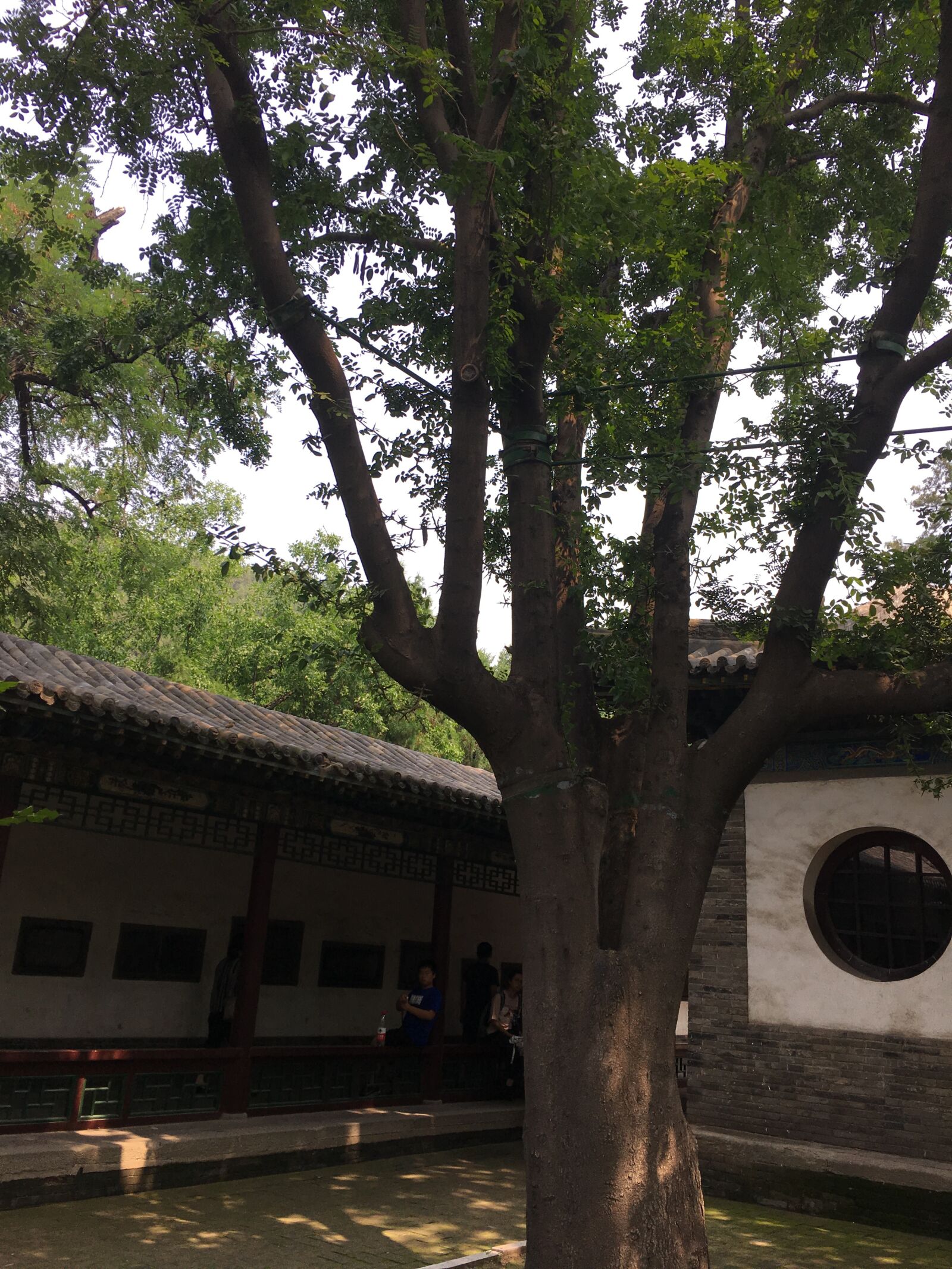 Apple iPhone 6s sample photo. Taiyuan, jinci, the scenery photography
