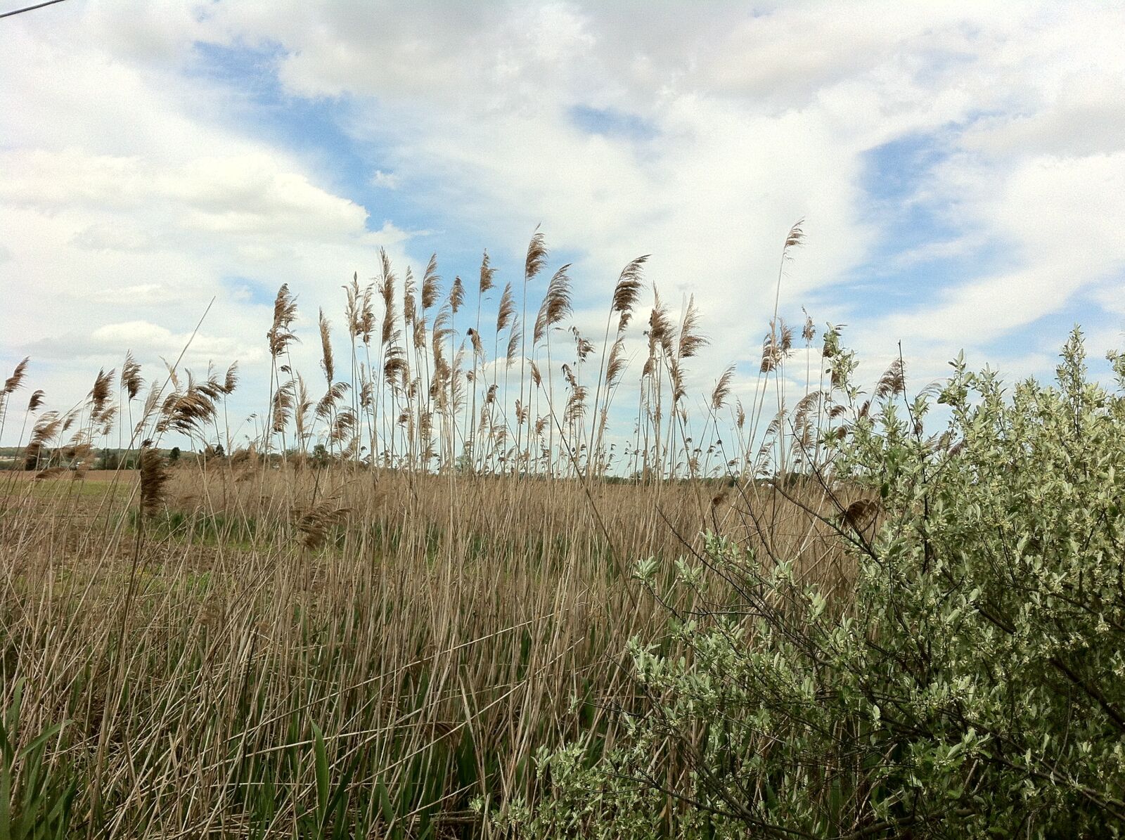 Apple iPhone 4 sample photo. Scenic, sky, clouds photography