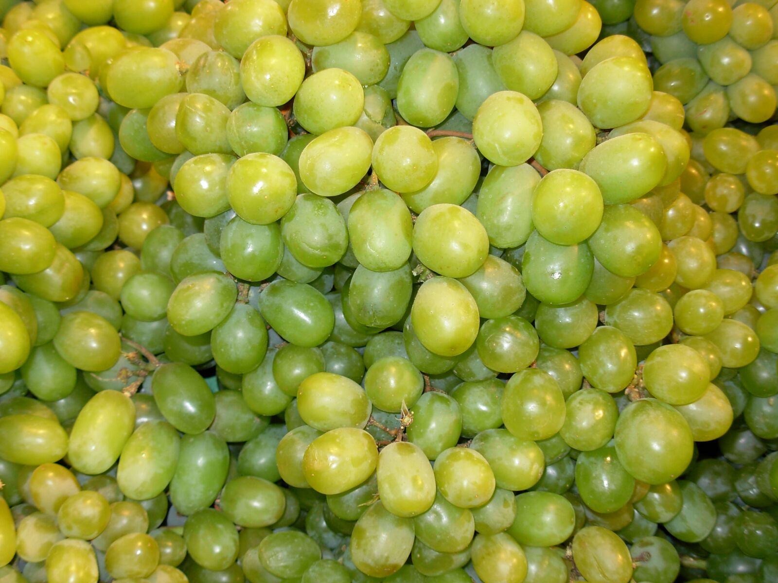 Nikon COOLPIX L5 sample photo. Grapes, green, fruit photography