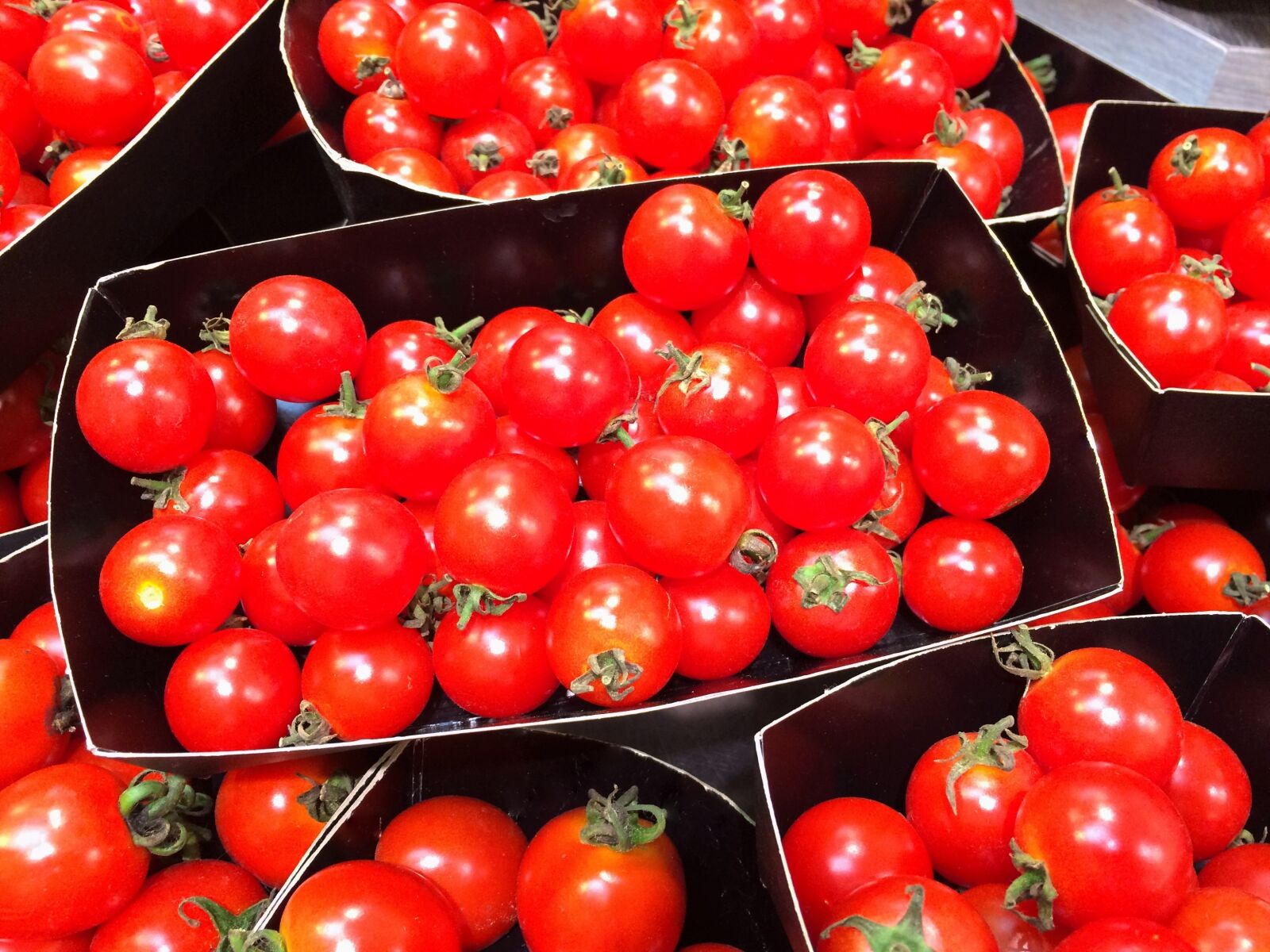 iPhone 5s back camera 4.15mm f/2.2 sample photo. Mini tomato, orange, red photography