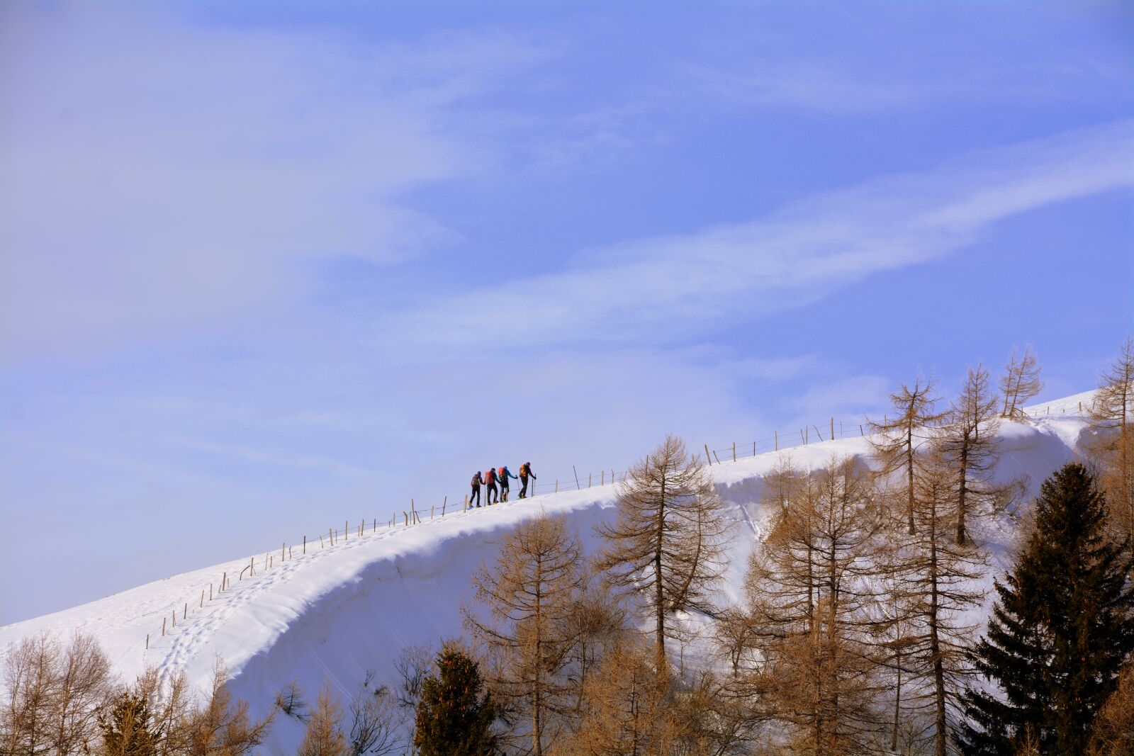 Nikon D7100 sample photo. Winter, snow, cold photography