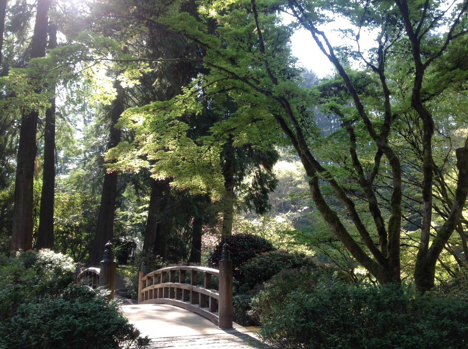 Apple iPad sample photo. Japanese garden, bridge, portland photography