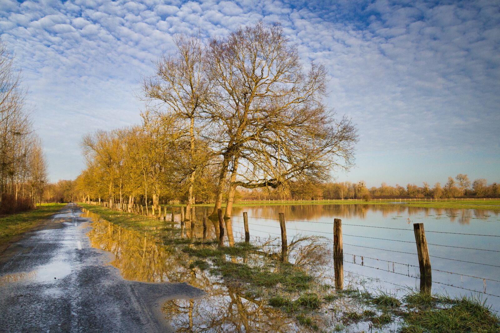 Canon EOS 7D sample photo. Paysage, inondation, nature photography